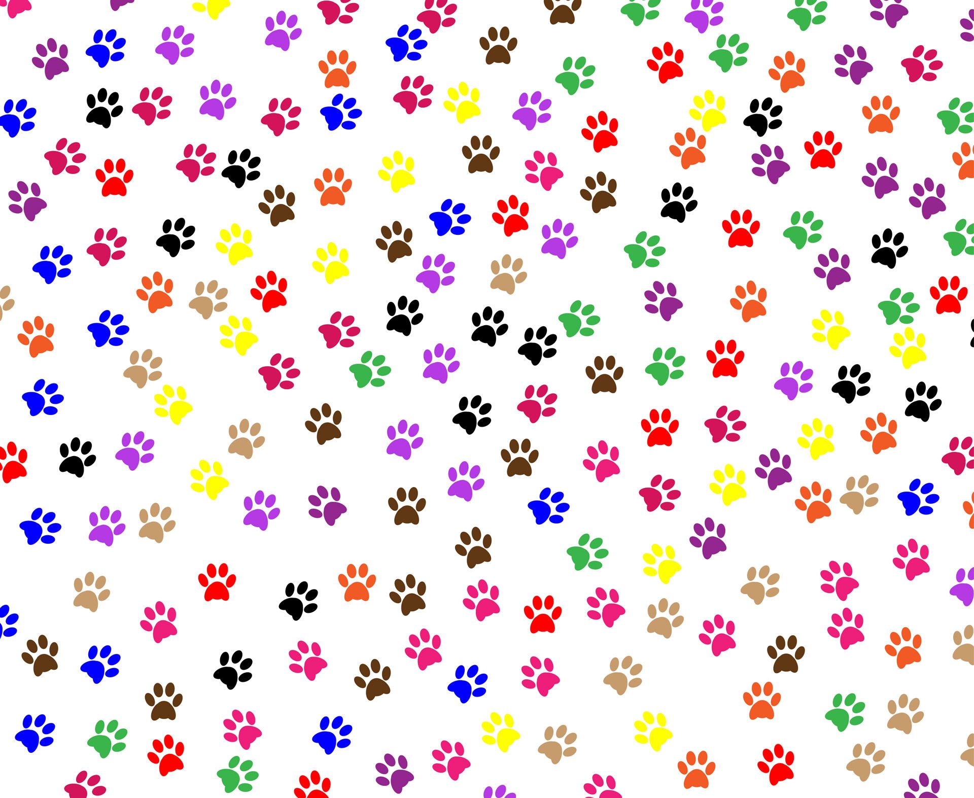 Paw Prints Background Free Domain Picture