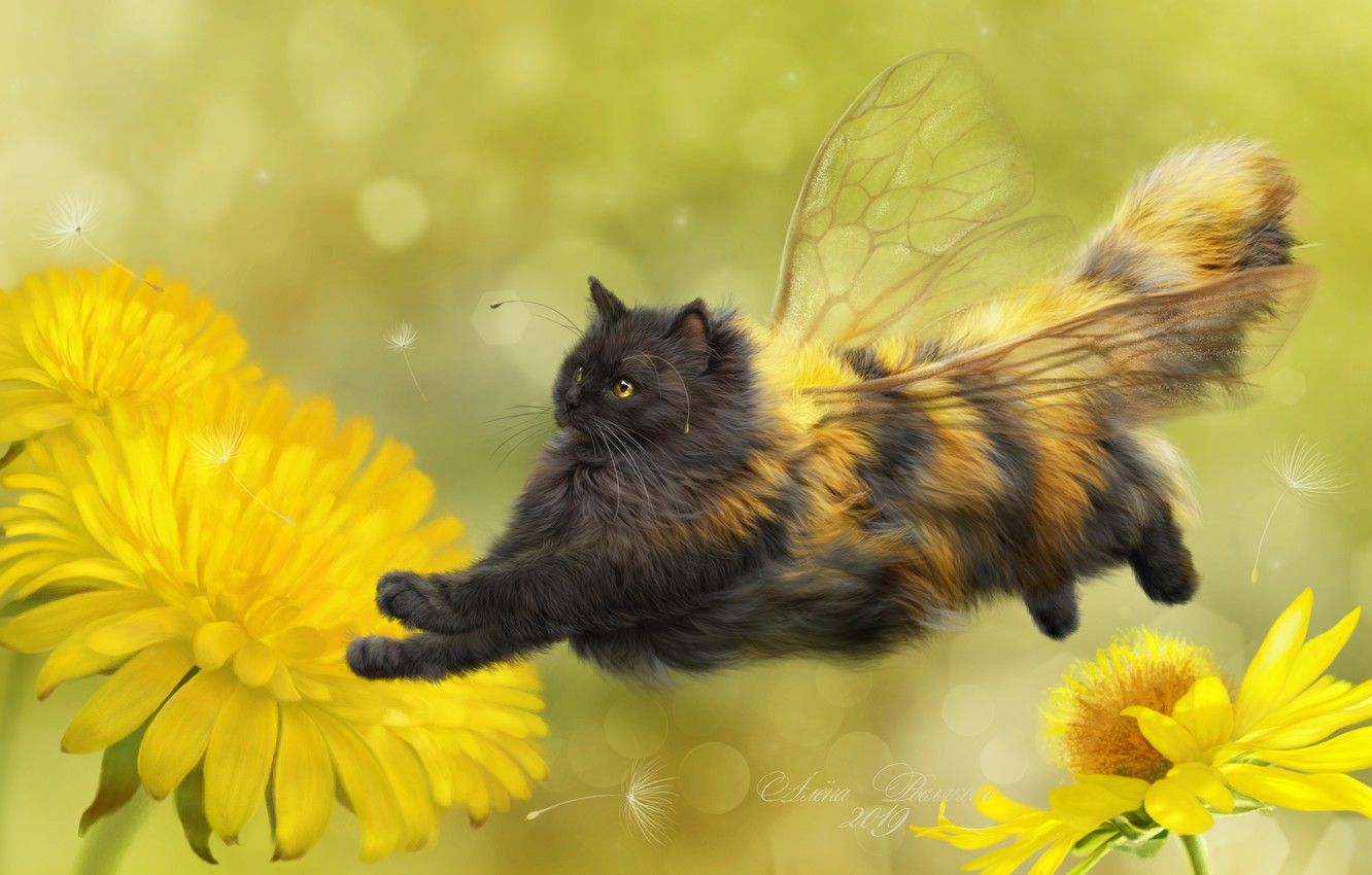 Wallpaper Cat, Flowers, Background, Art, Dandelions, Wings, Fluffy, Cat Bee Image For Desktop, Section настроения