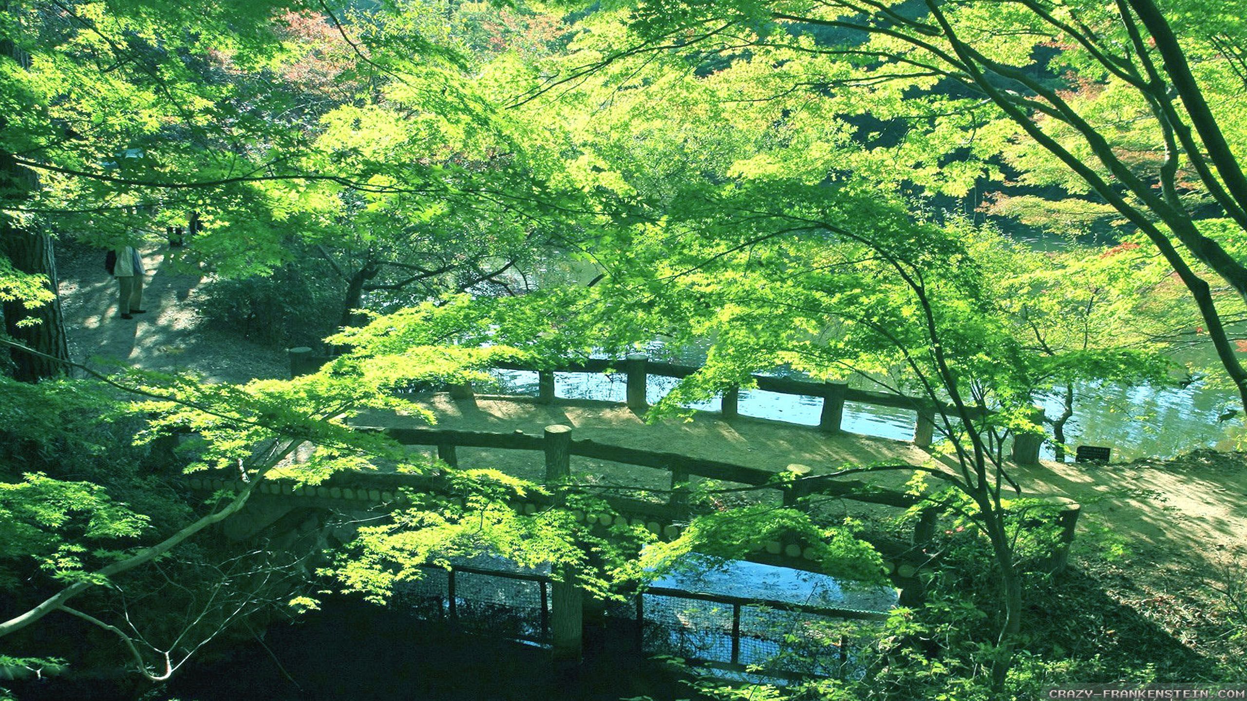 Summer in Japan wallpaper