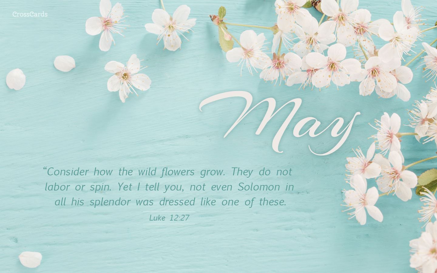 May How the Wildflowers Grow 12:27