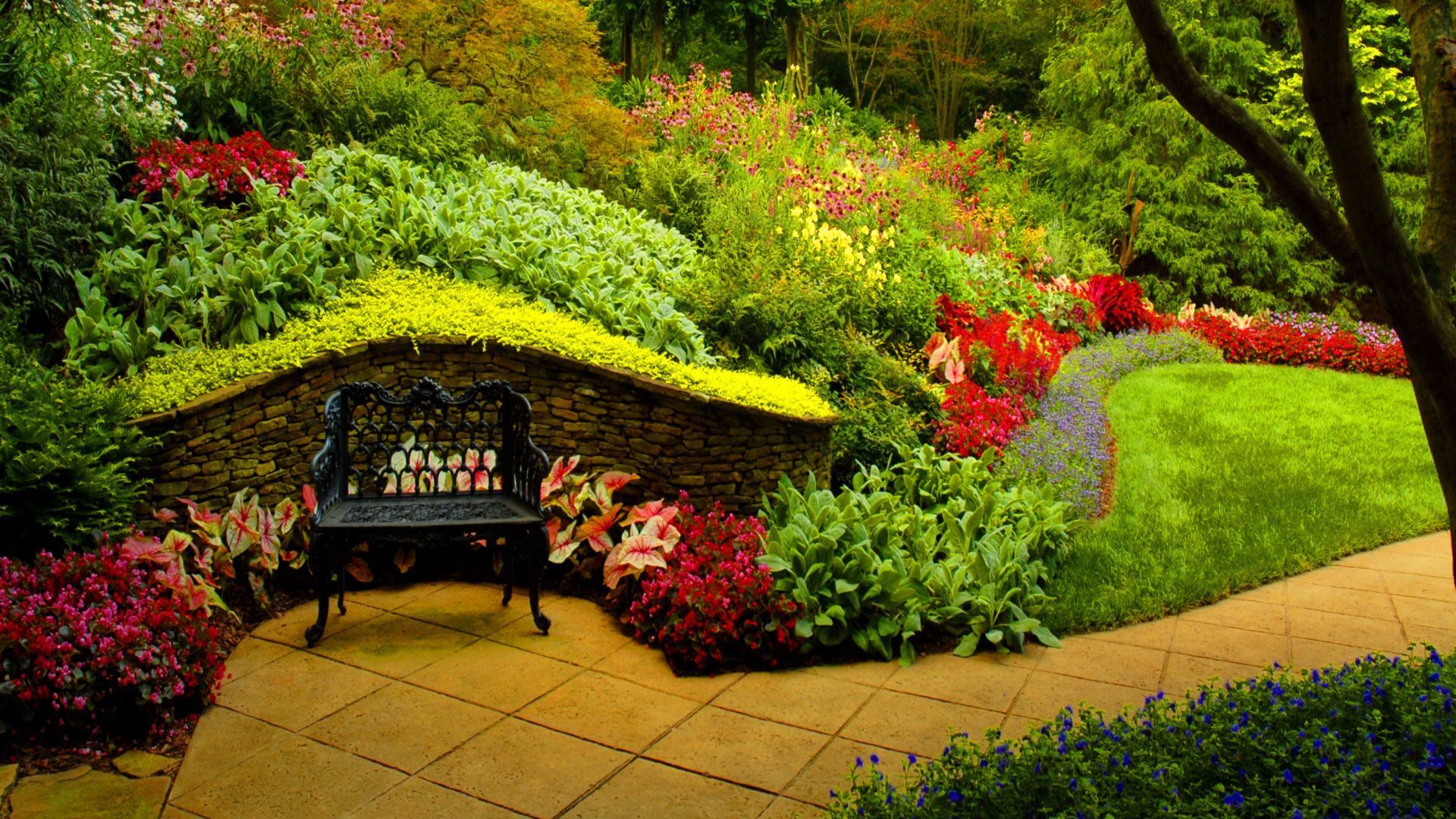 Park Bench and Beautiful Spring Flowers Nature View Wallpaper