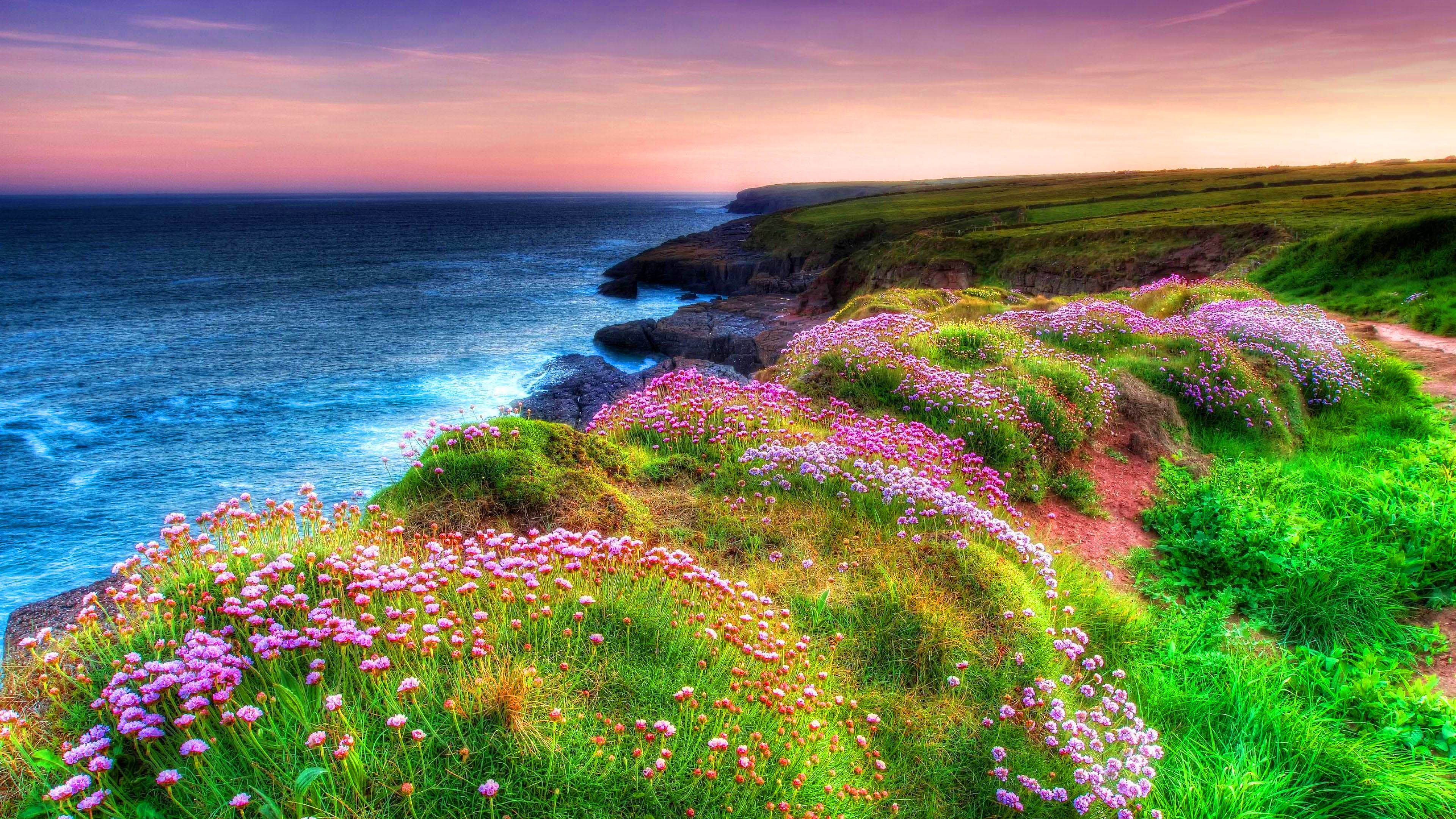 Landscape Ocean Shore Sea Green Grass, Spring Flowers Dunmore East