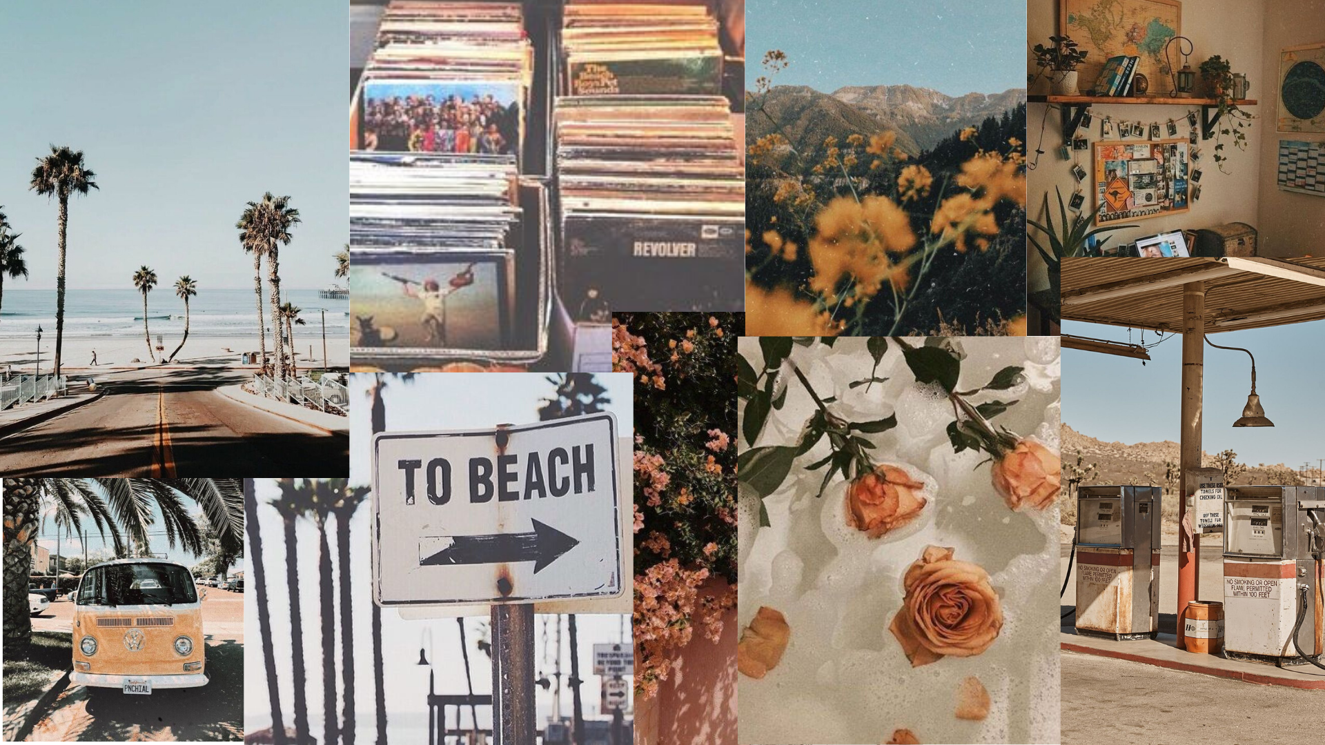 grunge, vintage, desktop background, flowers, roses, beach, beachy