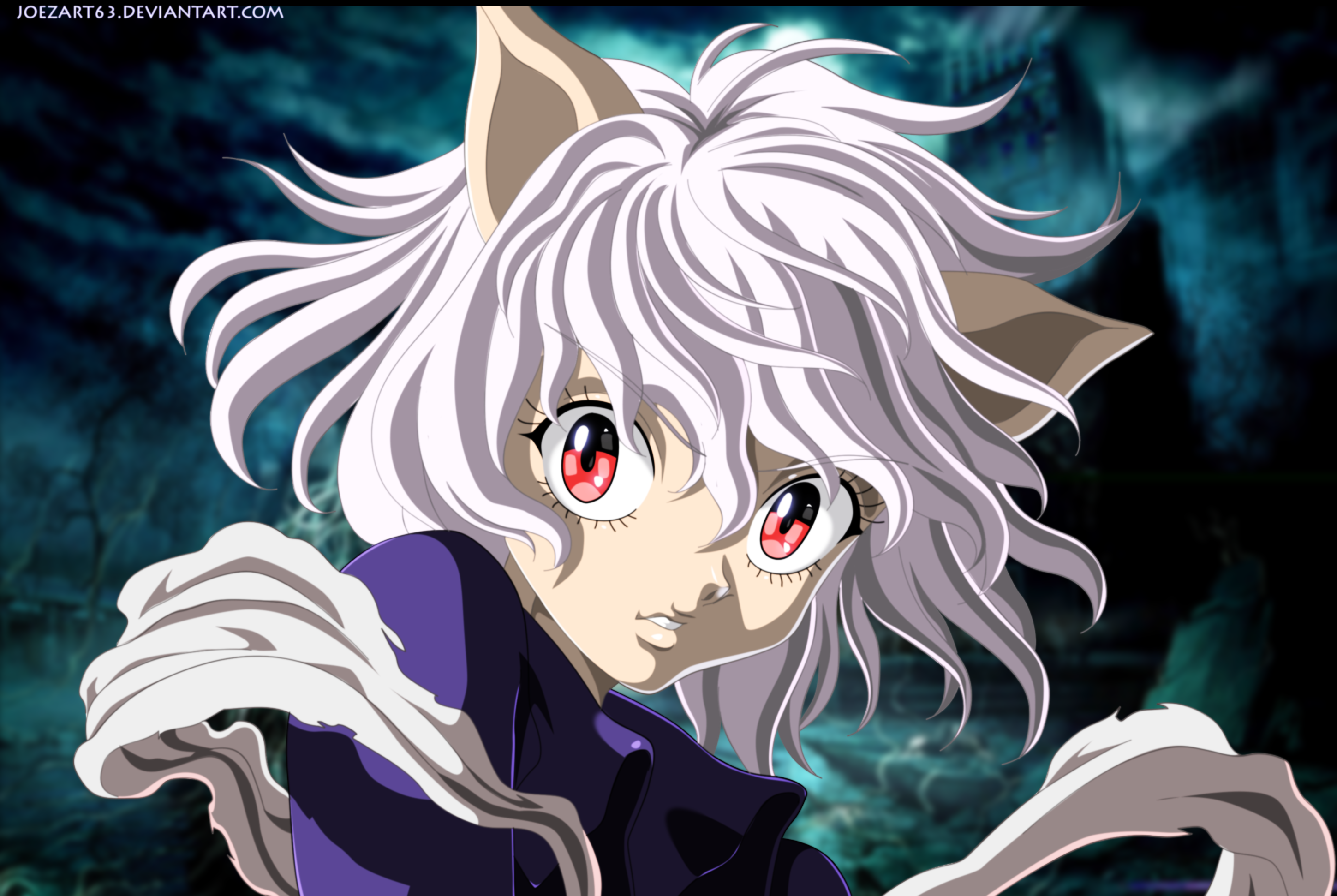 Neferpitou, Hunterpedia