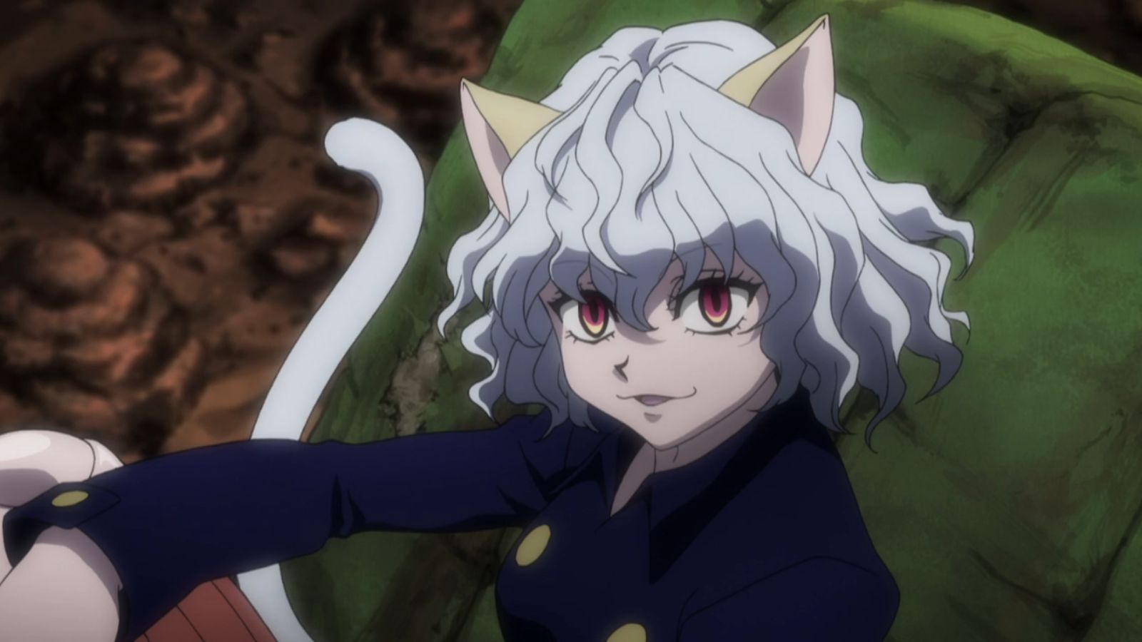 Pitou Hunter X Hunter