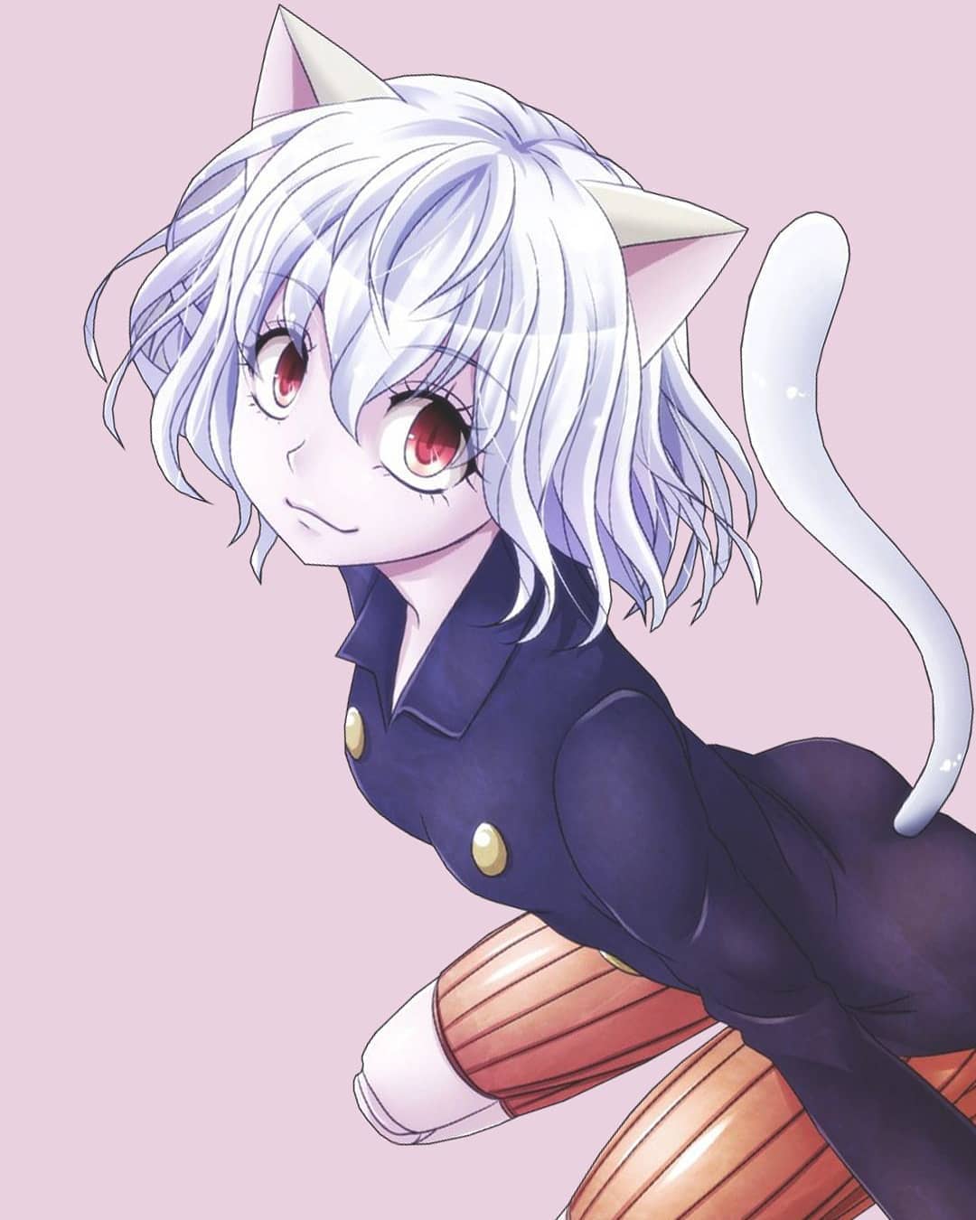 Pitou Wallpapers - Wallpaper Cave