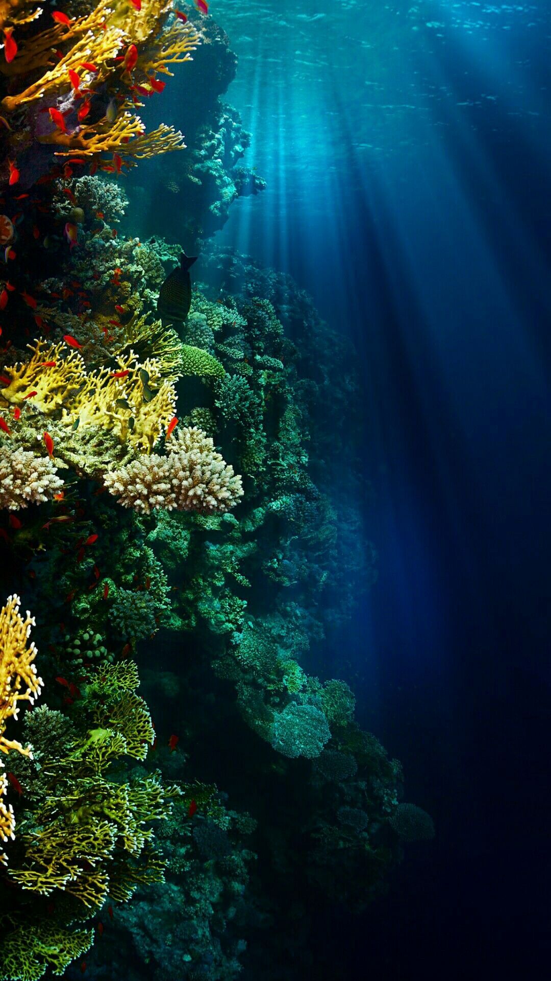 Underwater Wallpaper. Underwater wallpaper, Ocean wallpaper, S8