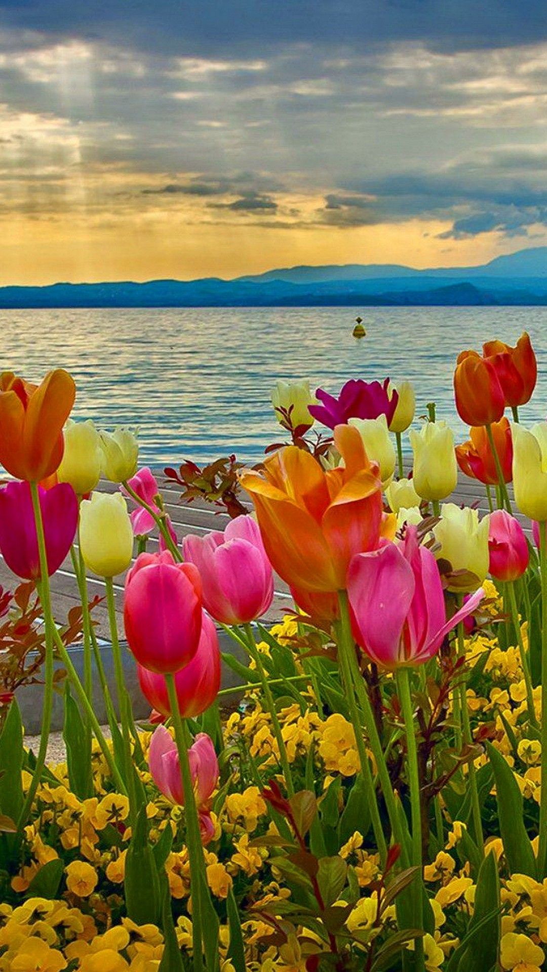25 Best aesthetic spring flower wallpaper You Can Get It free ...