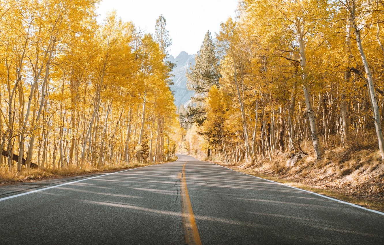 Wallpaper road, trees, yellow, autumn, mountains, leaves, landscapes, asphalt, sunlight, 4k ultra HD background image for desktop, section пейзажи