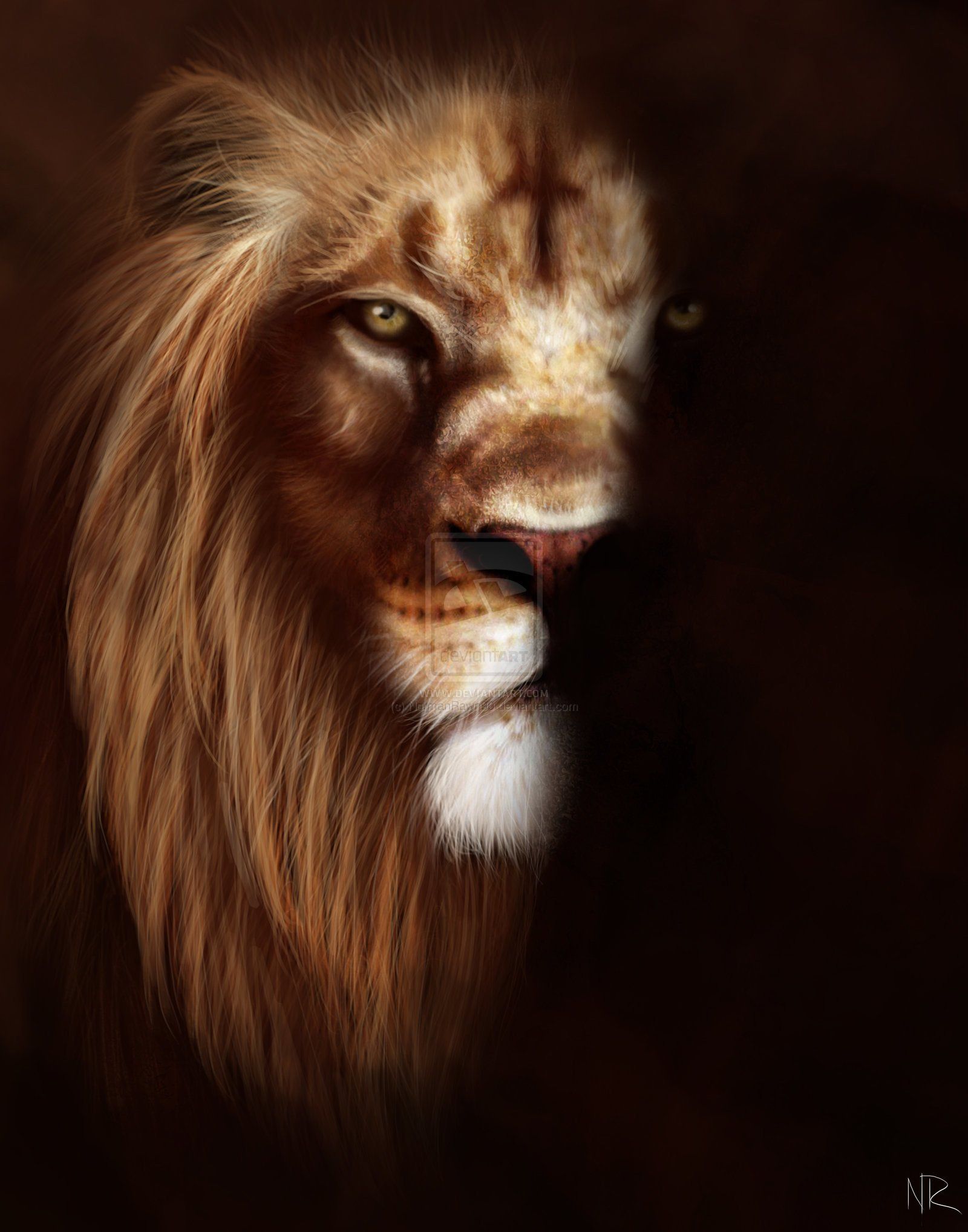Lion Close Up Face Angry Wallpapers - Wallpaper Cave