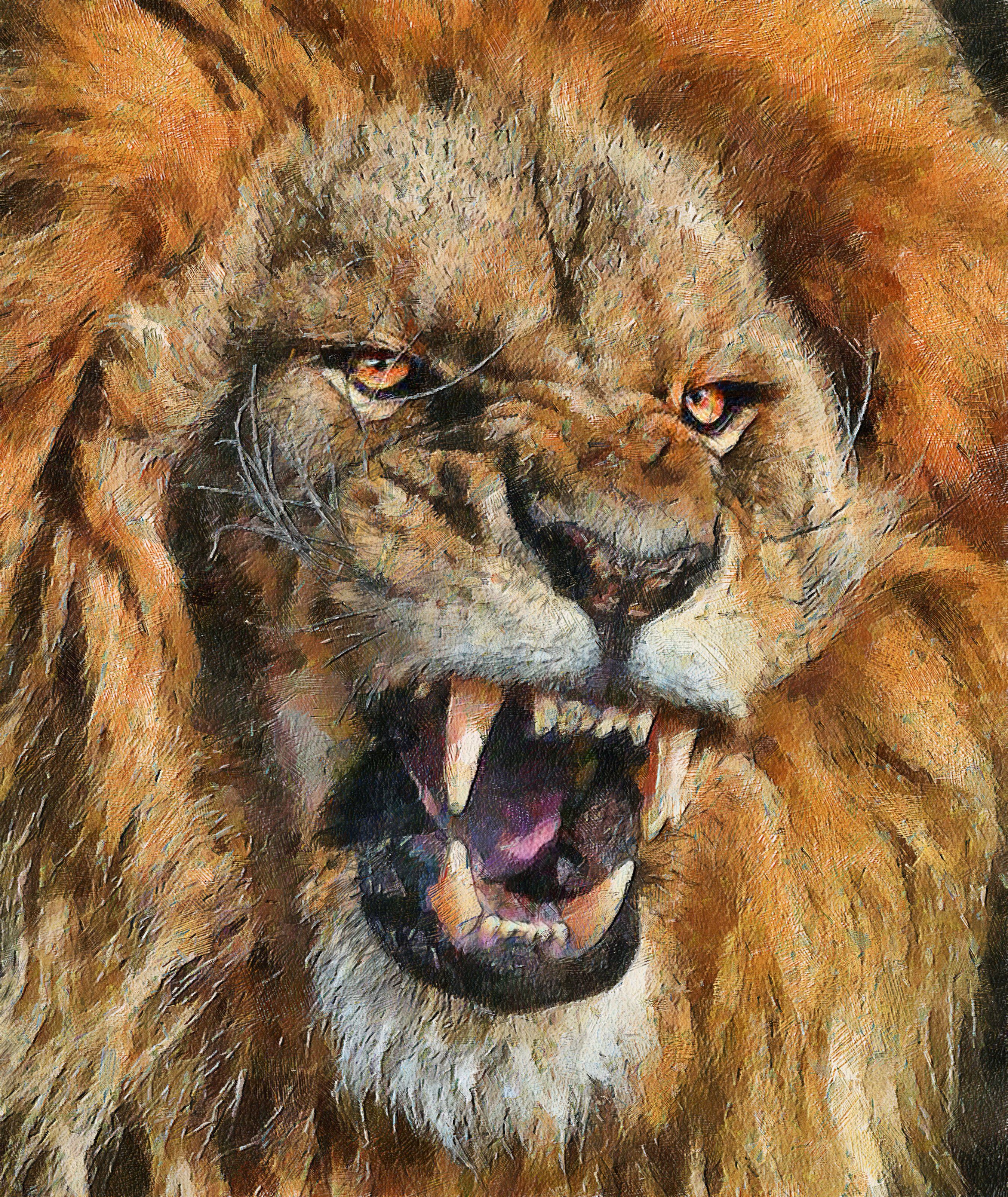 Desktop Wallpaper Lions Big cats Canine tooth fangs Roar 2696x3200