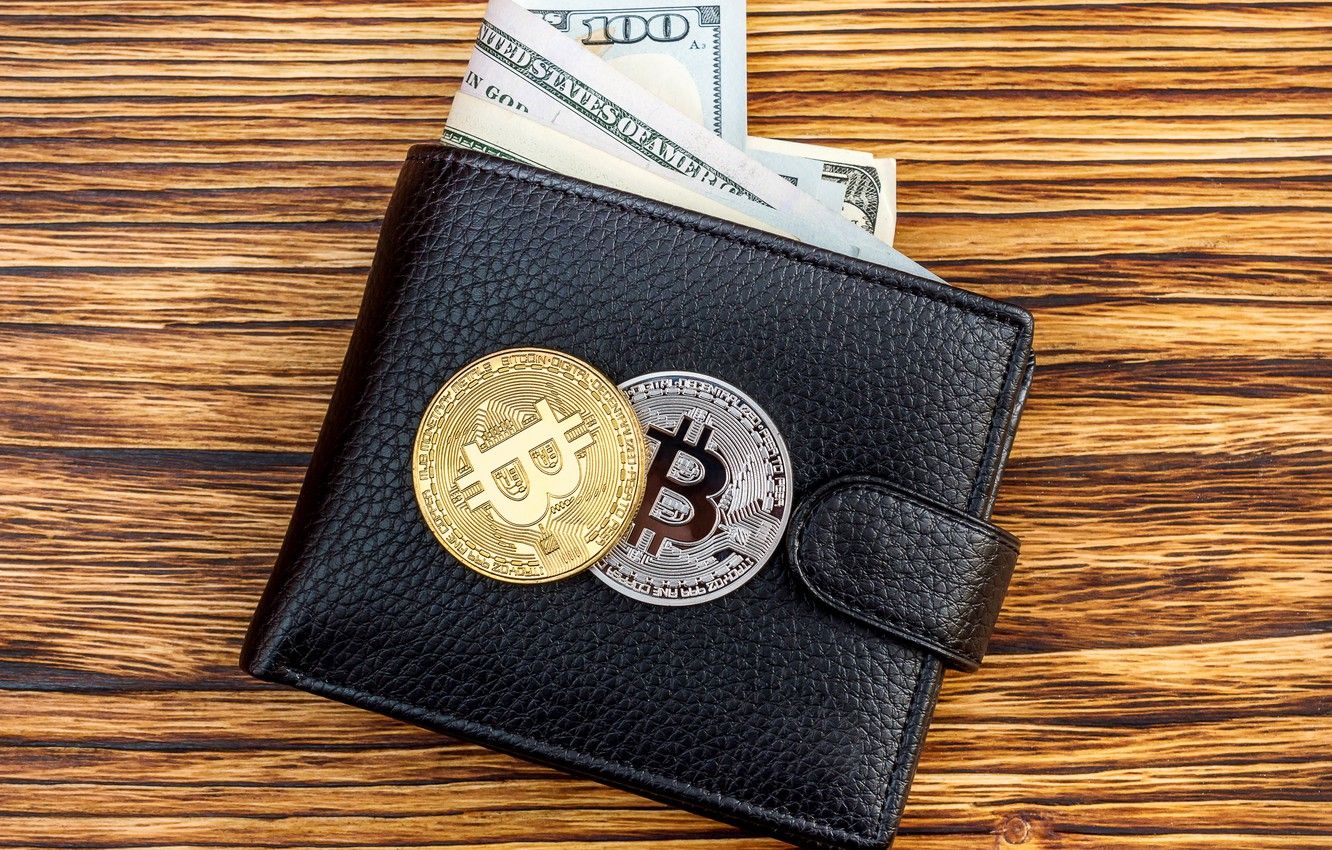 Wallpaper dollar, dollar, purse, bitcoin, wallet, bitcoin, btc
