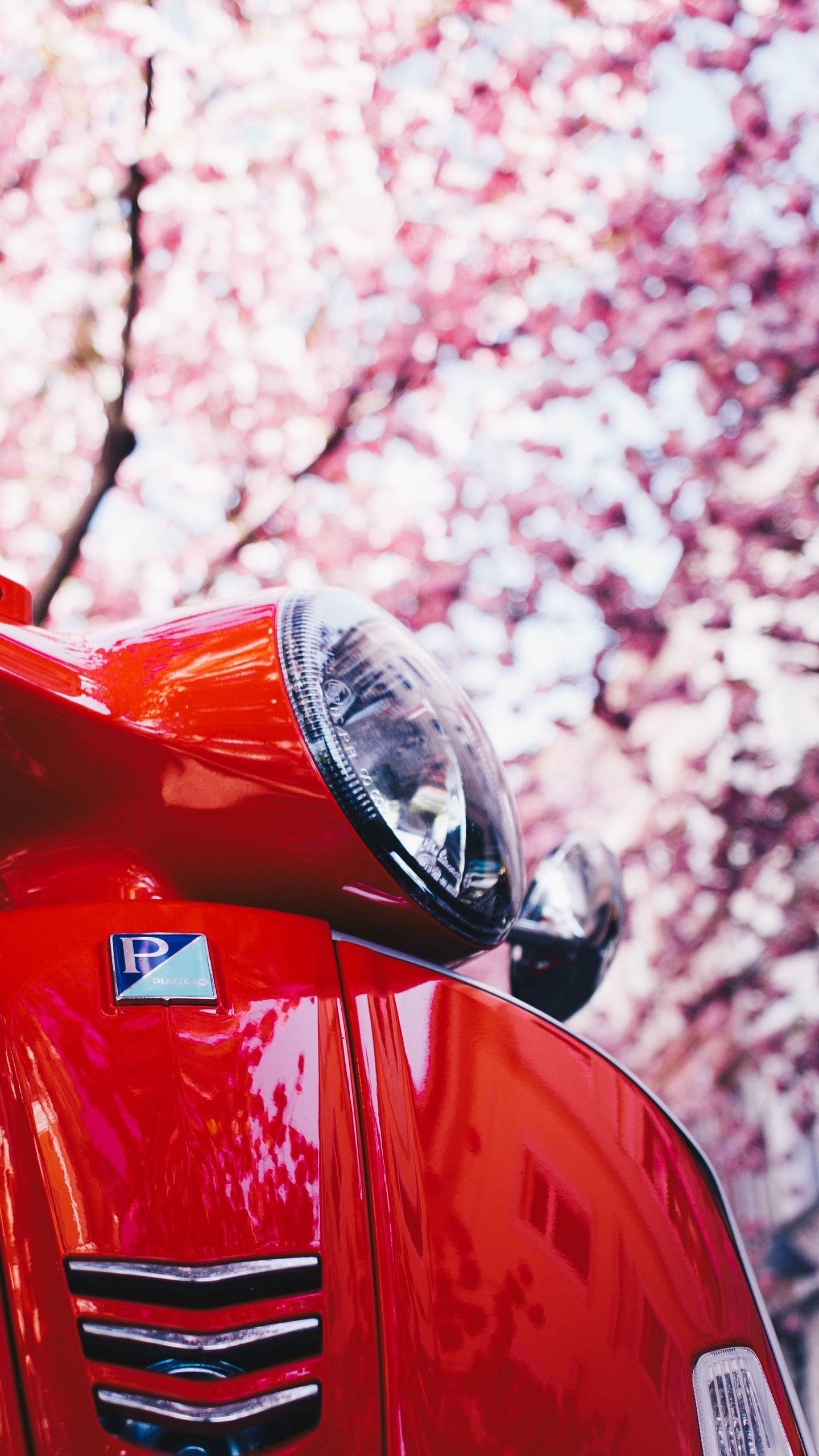 Download wallpaper 1440x2560 vespa, scooter, red, sakura qhd