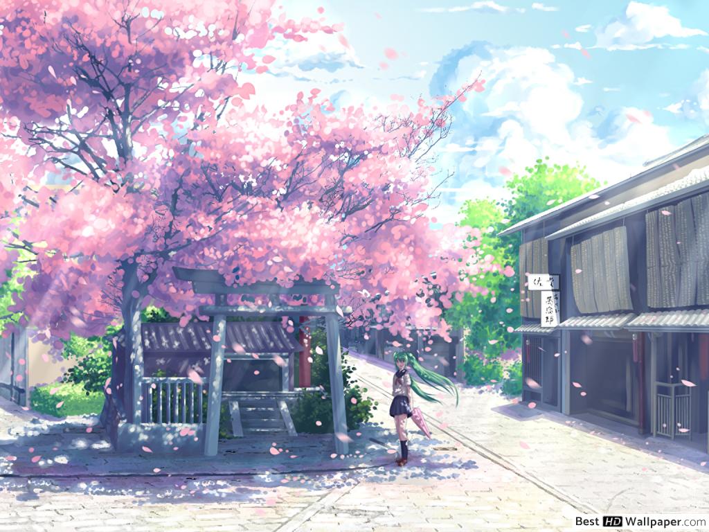 Hatsune Miku under the sakura blossom tree HD wallpaper download