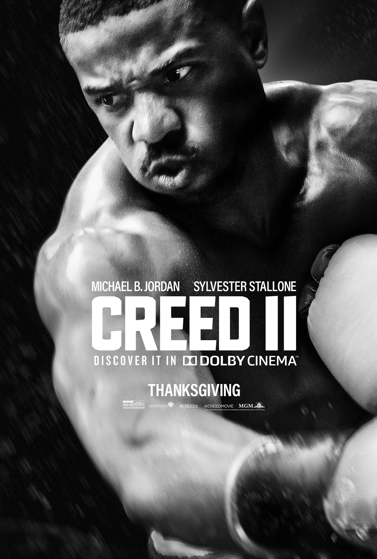 HD wallpaper Movie Creed II Adonis Creed Michael B Jordan Rocky  Balboa  Wallpaper Flare