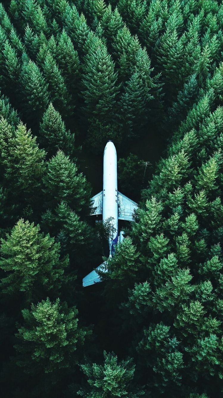 Plane Crash. Fruit wallpaper photography, Mountain landscape