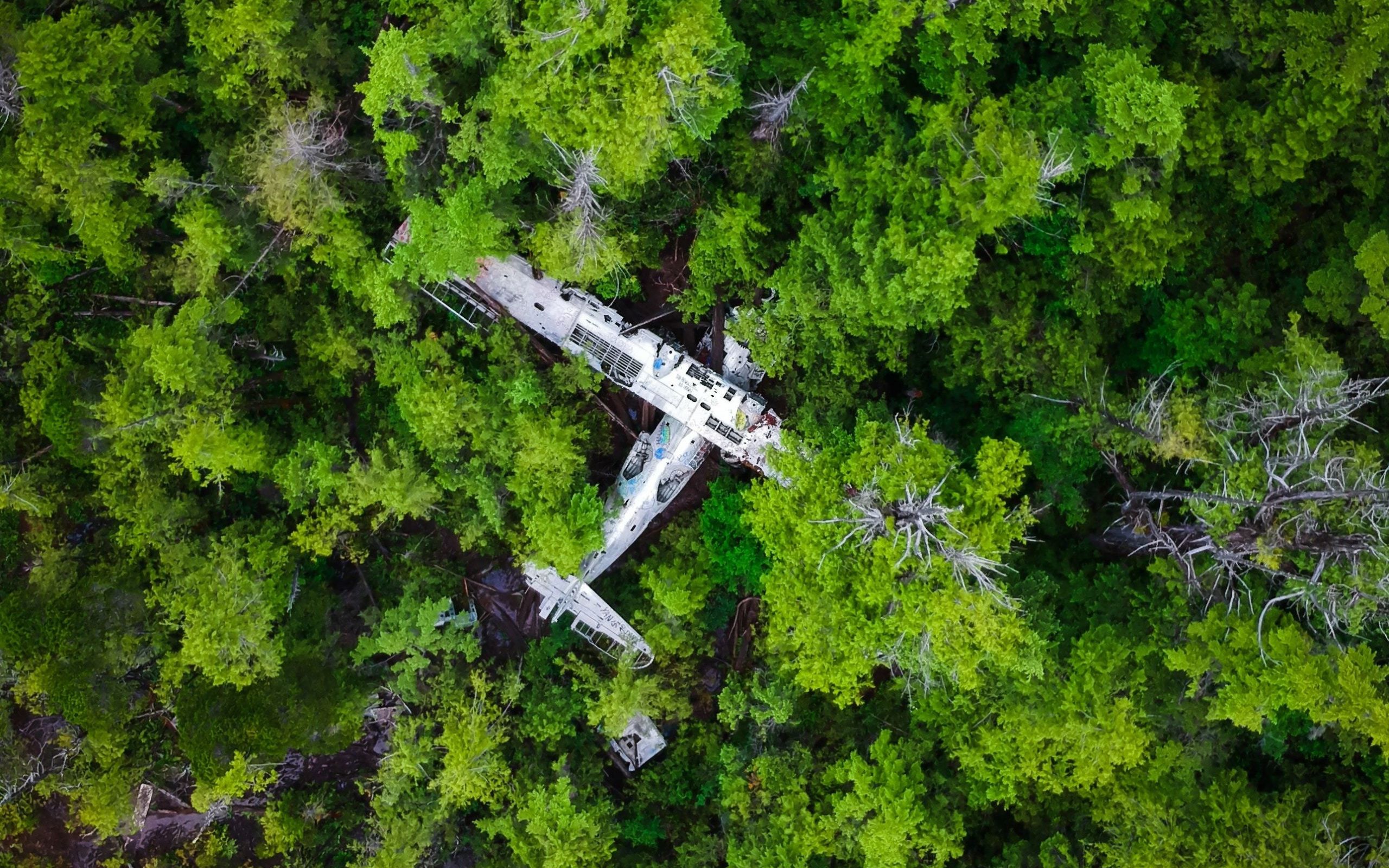 Download wallpaper crashed plane, jungle, forest, view from above