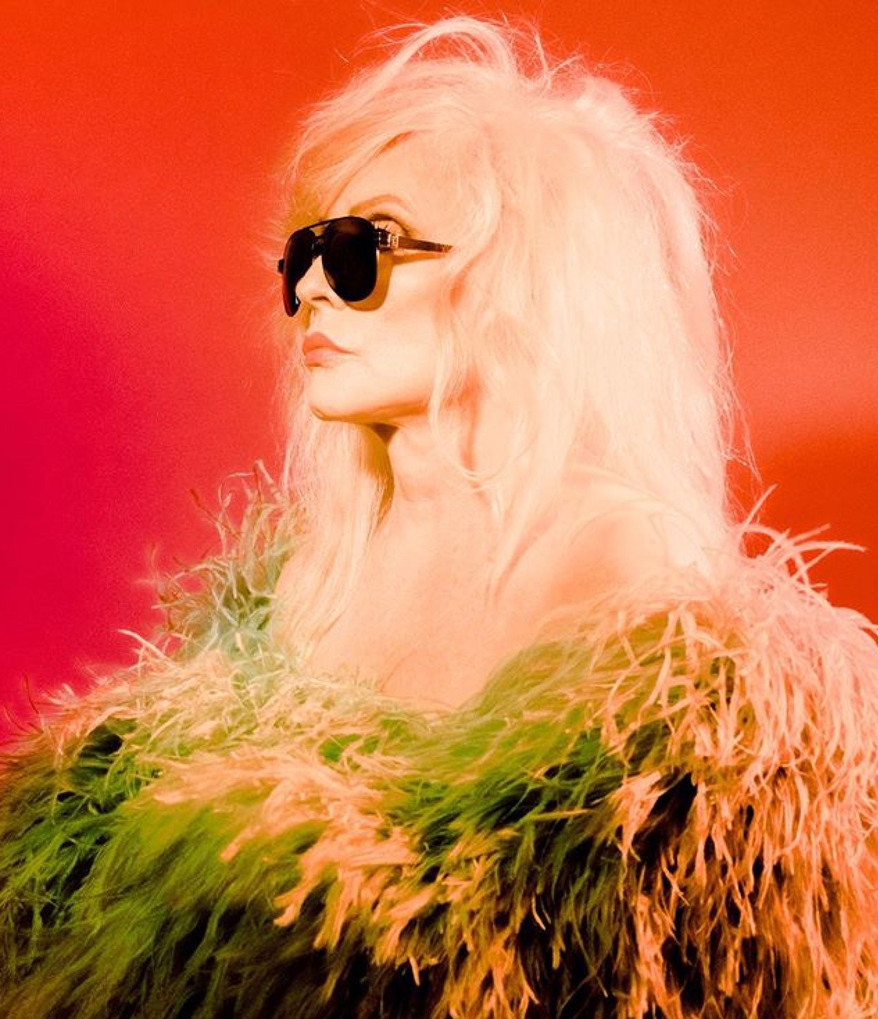 Debbie Harry. Debbie harry, Cindy sherman, Blondie debbie harry