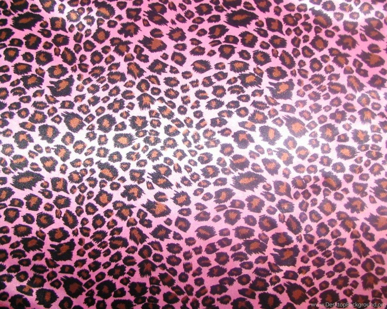 Hot Pink Animal Print Wallpaper Animal Desktop Background