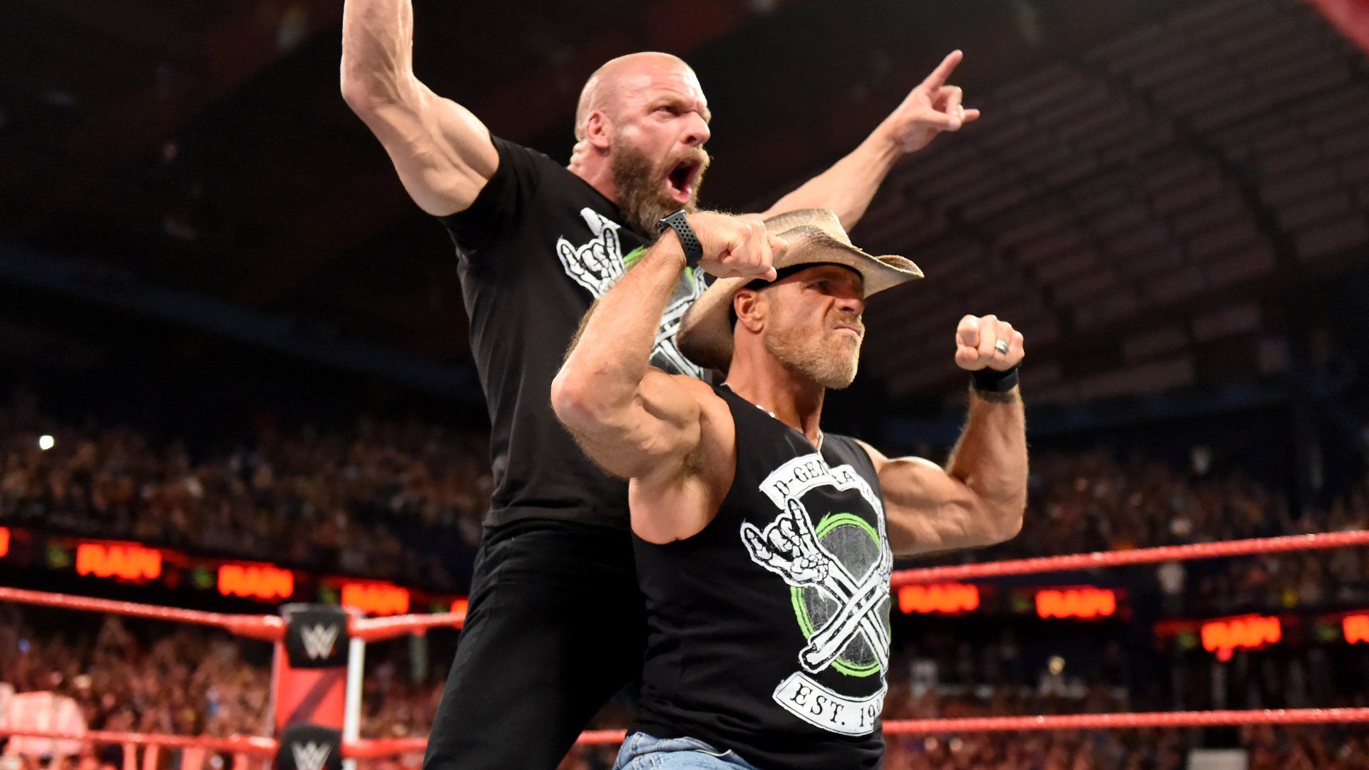 D Generation X Re Formed To Challenge The Brothers Of Destruction