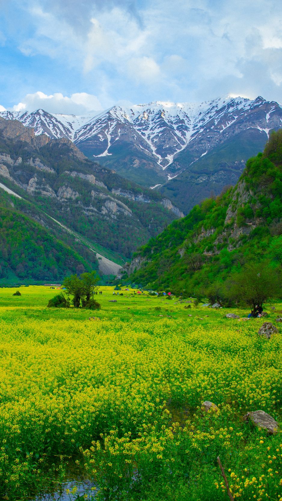 Download wallpaper 938x1668 meadow, mountains, flowers, landscape