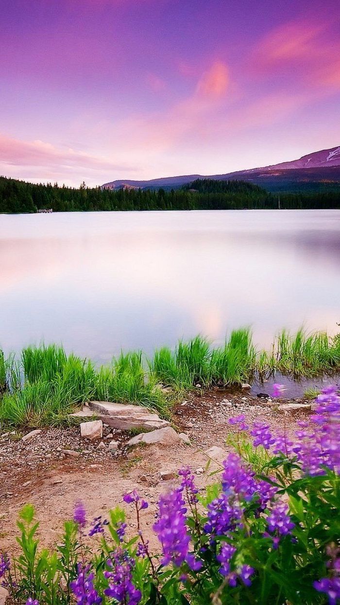 mountain landscape, image of spring, large lake, with flowers and trees around it, phone backgrou. Hello spring wallpaper, Spring wallpaper, HD nature wallpaper