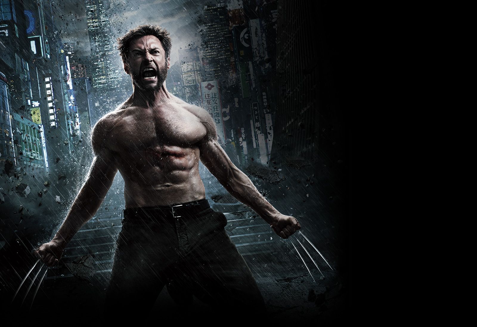 The Wolverine wallpaper, Movie, HQ The Wolverine pictureK