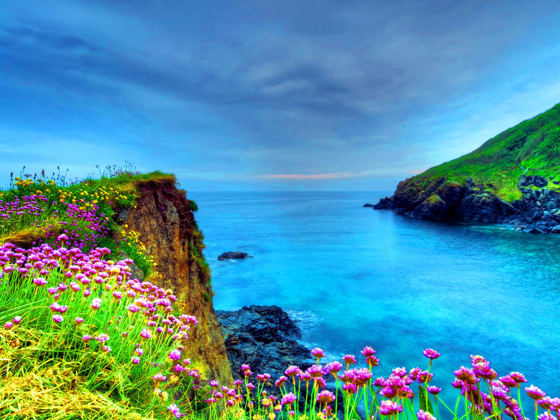 Sea Flowers Wallpapers - Wallpaper Cave