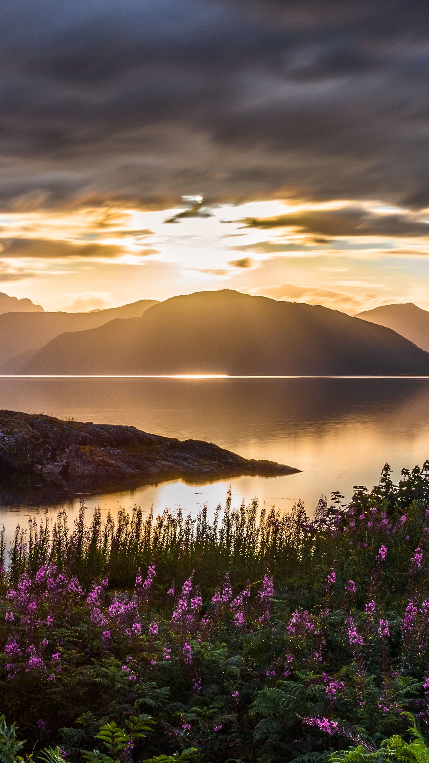 Download wallpaper 1440x2560 mountains, sea, flowers, sunset, sky