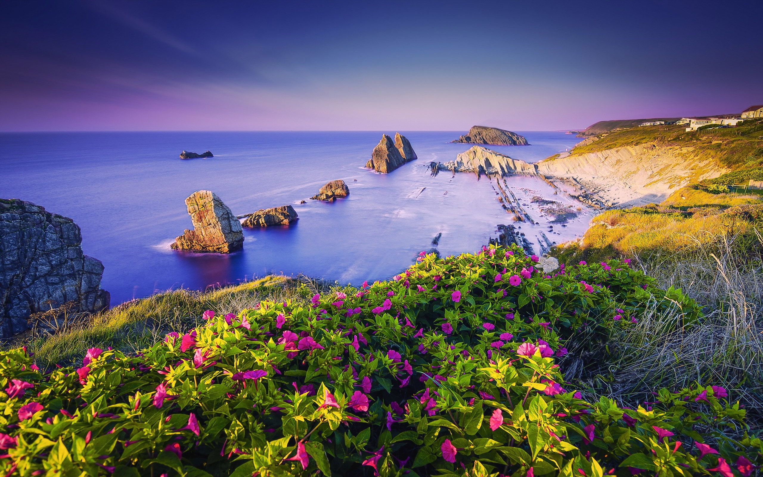 Costa Quebrada In Cantabria Spain Ocean Flowers Coast The Sea 4k