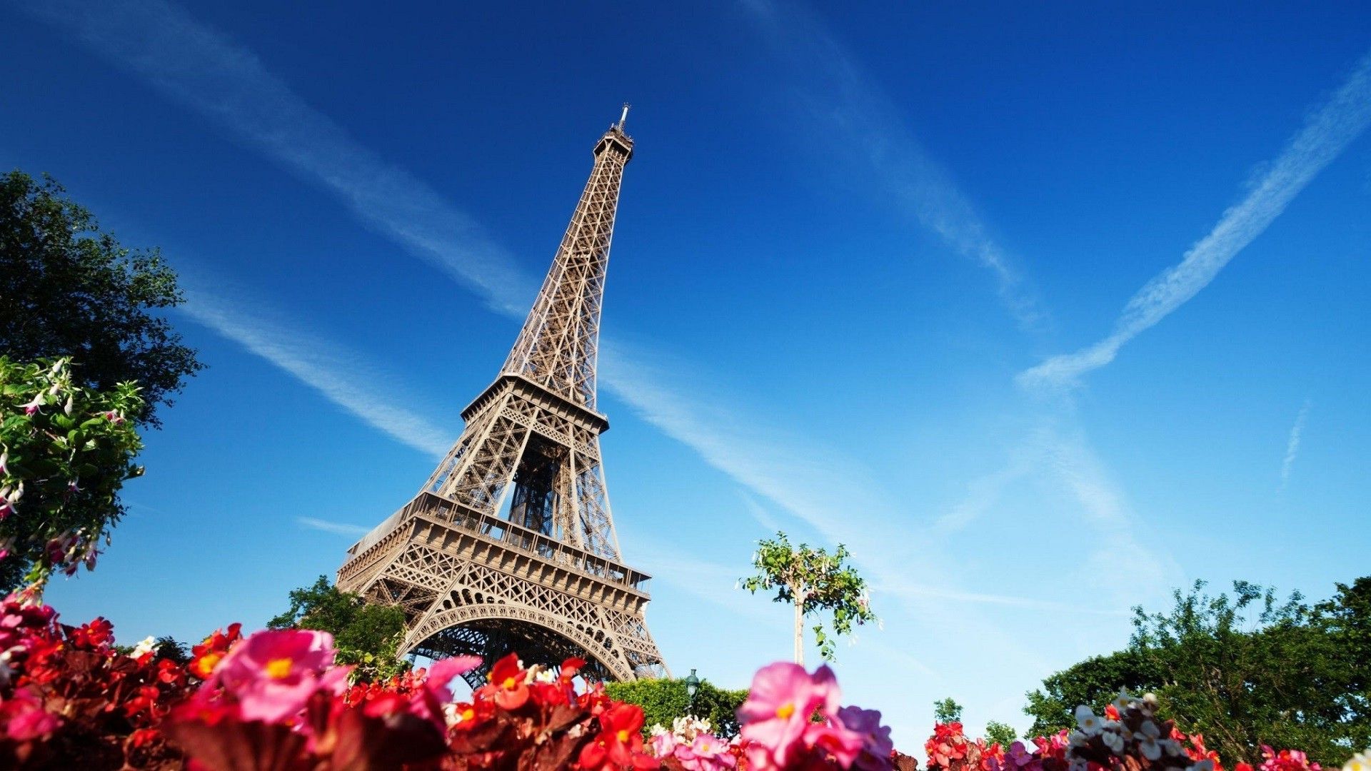 Eiffel Tower, Building, Architecture, Flowers, Paris, France Wallpaper HD / Desktop and Mobile Background