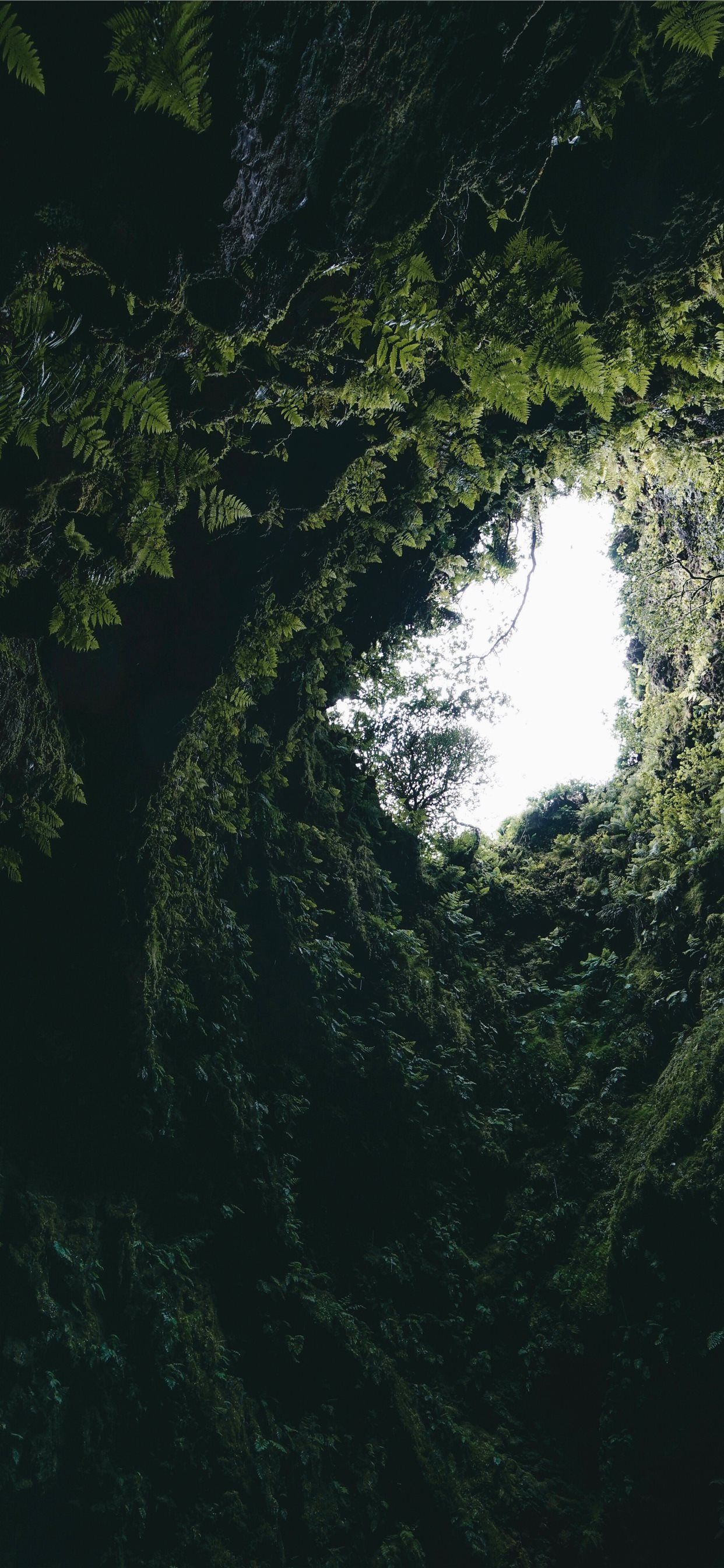 Inside old volcano in Terceira island Azores iPhone X Wallpaper