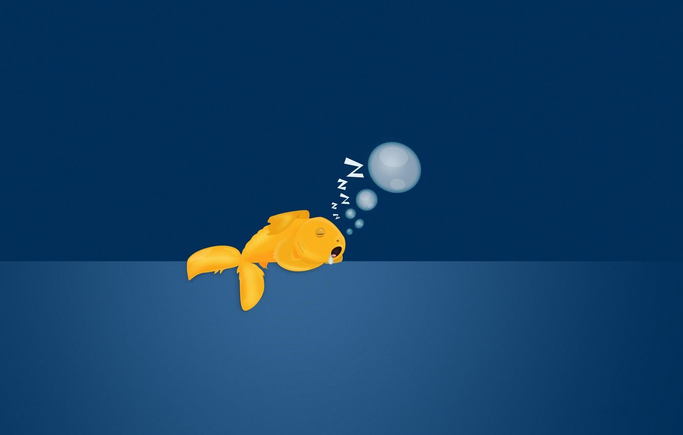Free download Wallpaper bubbles background sleeping goldfish image for [1332x850] for your Desktop, Mobile & Tablet. Explore Sleeping Wallpaper. Sleeping Wallpaper, Sleeping Beauty Wallpaper, Sleeping Beauty Wallpaper