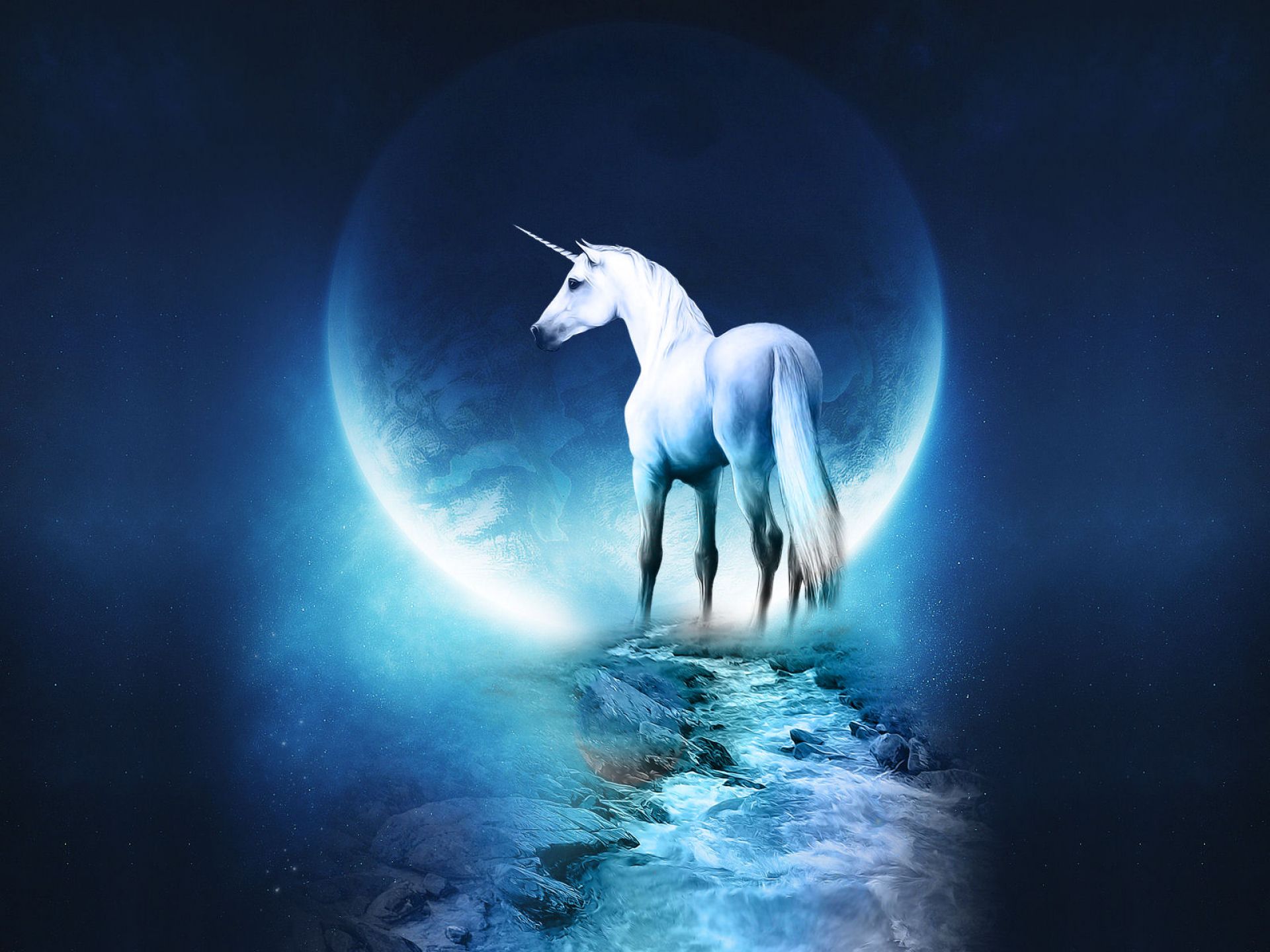 unicorn, Horse, Magical, Animal, Moon Wallpaper HD / Desktop