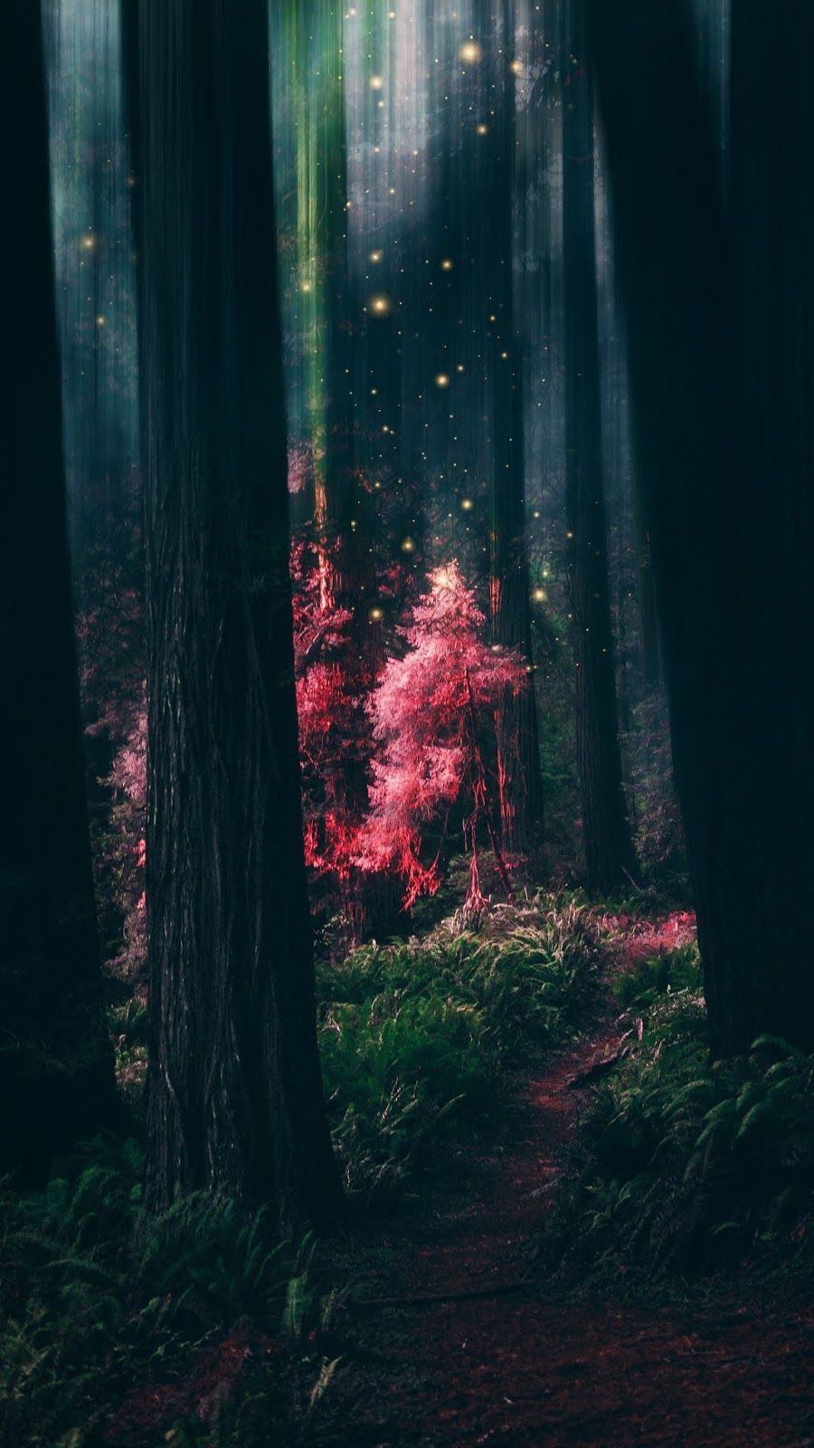 Magical Forest. Beautiful wallpaper, Aesthetic wallpaper, Forest wallpaper