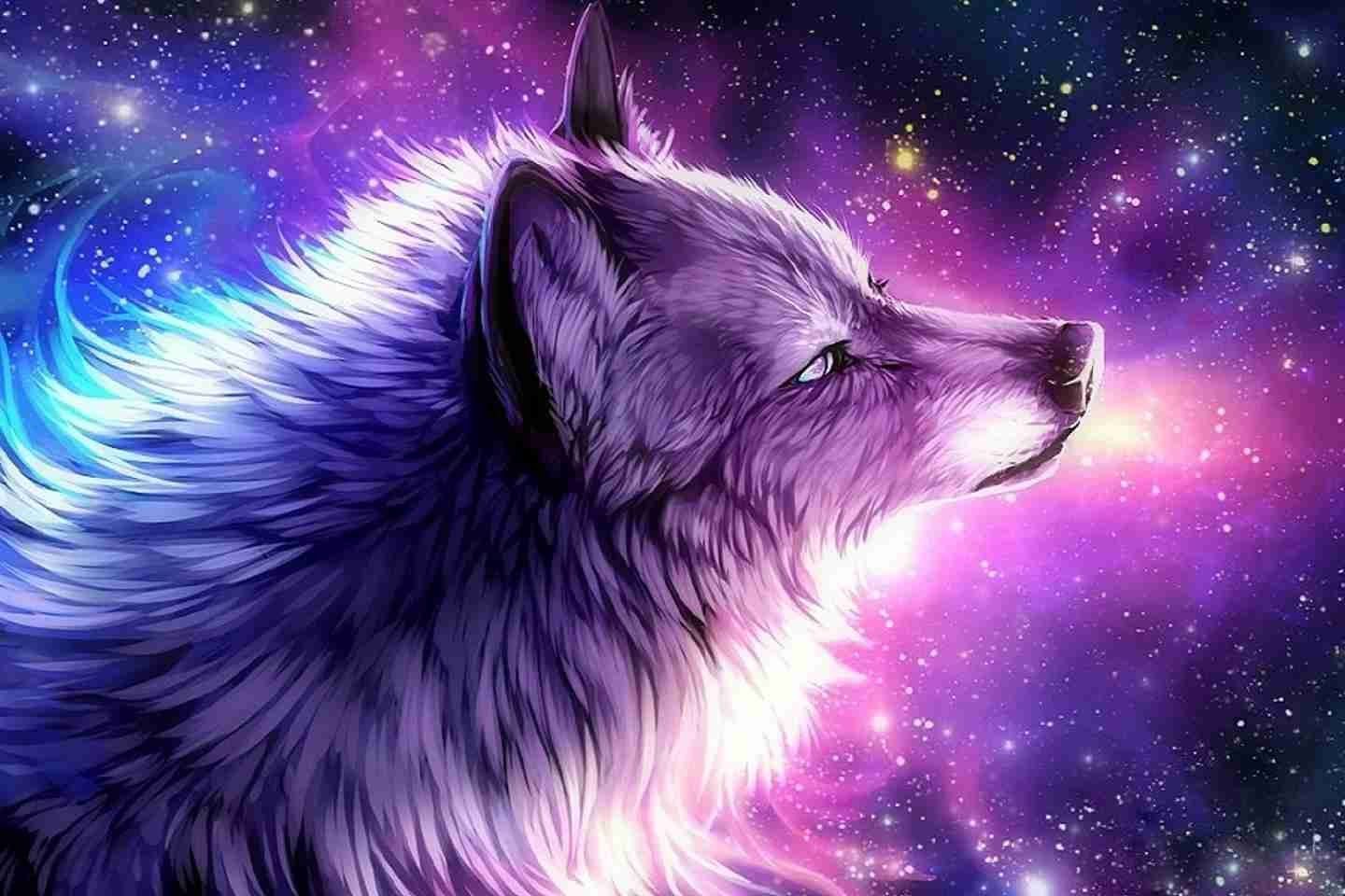 Wallpaper Galaxy Cute Aesthetic Image Wolf