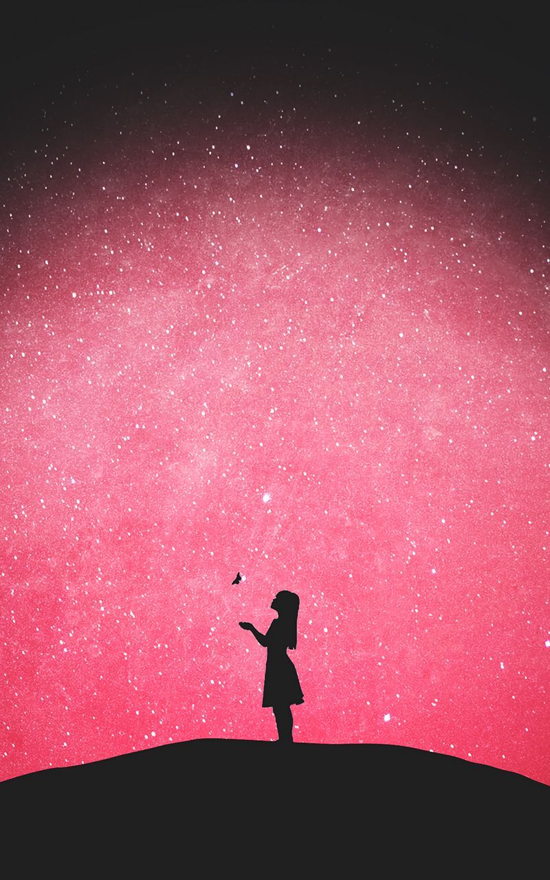 Download wallpaper 800x1280 silhouette, butterfly, girl, starry
