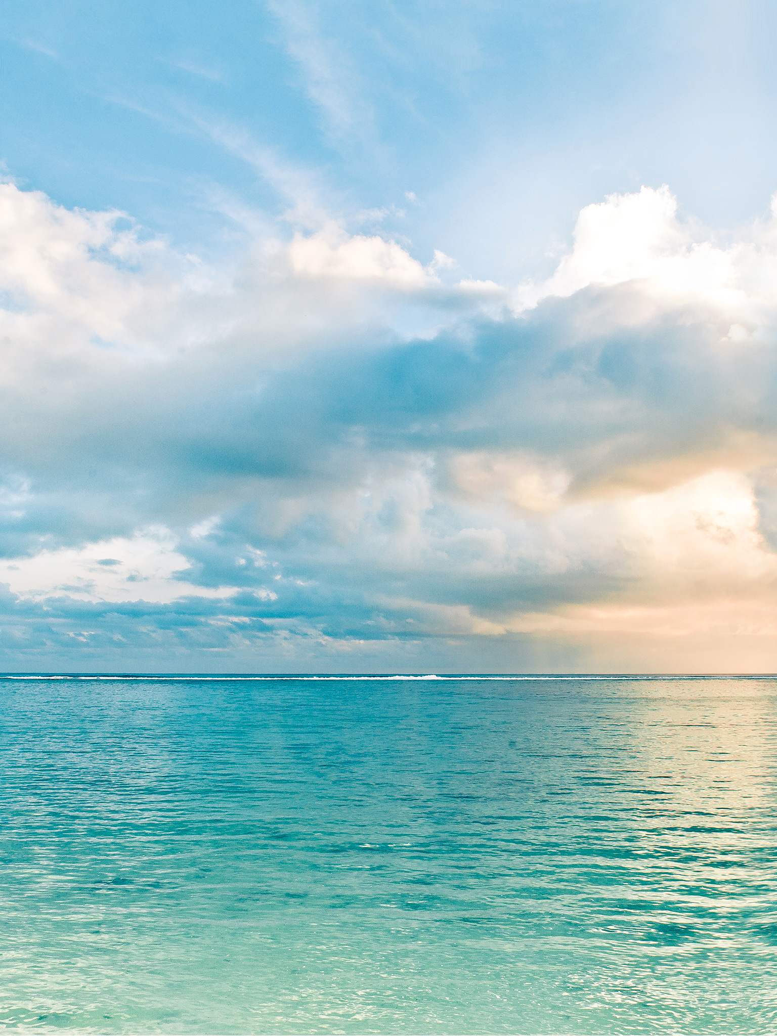 Natural summer wallpaper