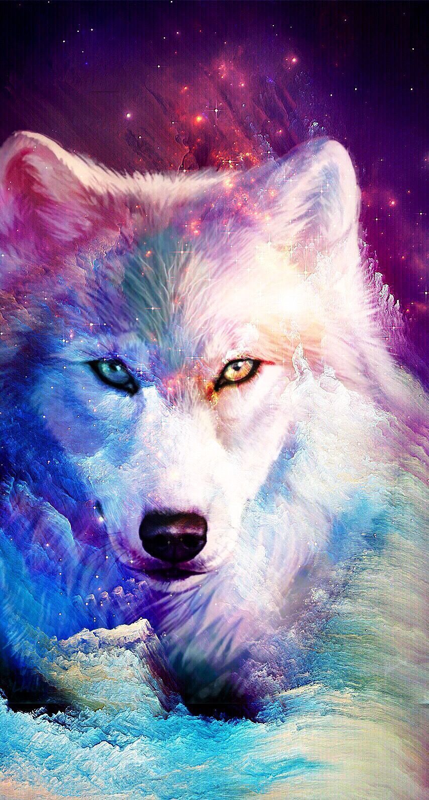 Galaxy Wolf Wallpaper HD
