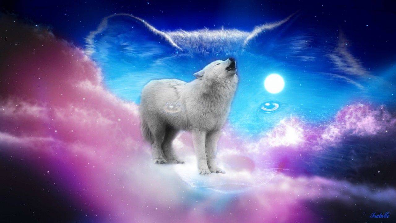 Free download Cute Wolf Pink Sky Full Moon wallpaper Cute Wolf