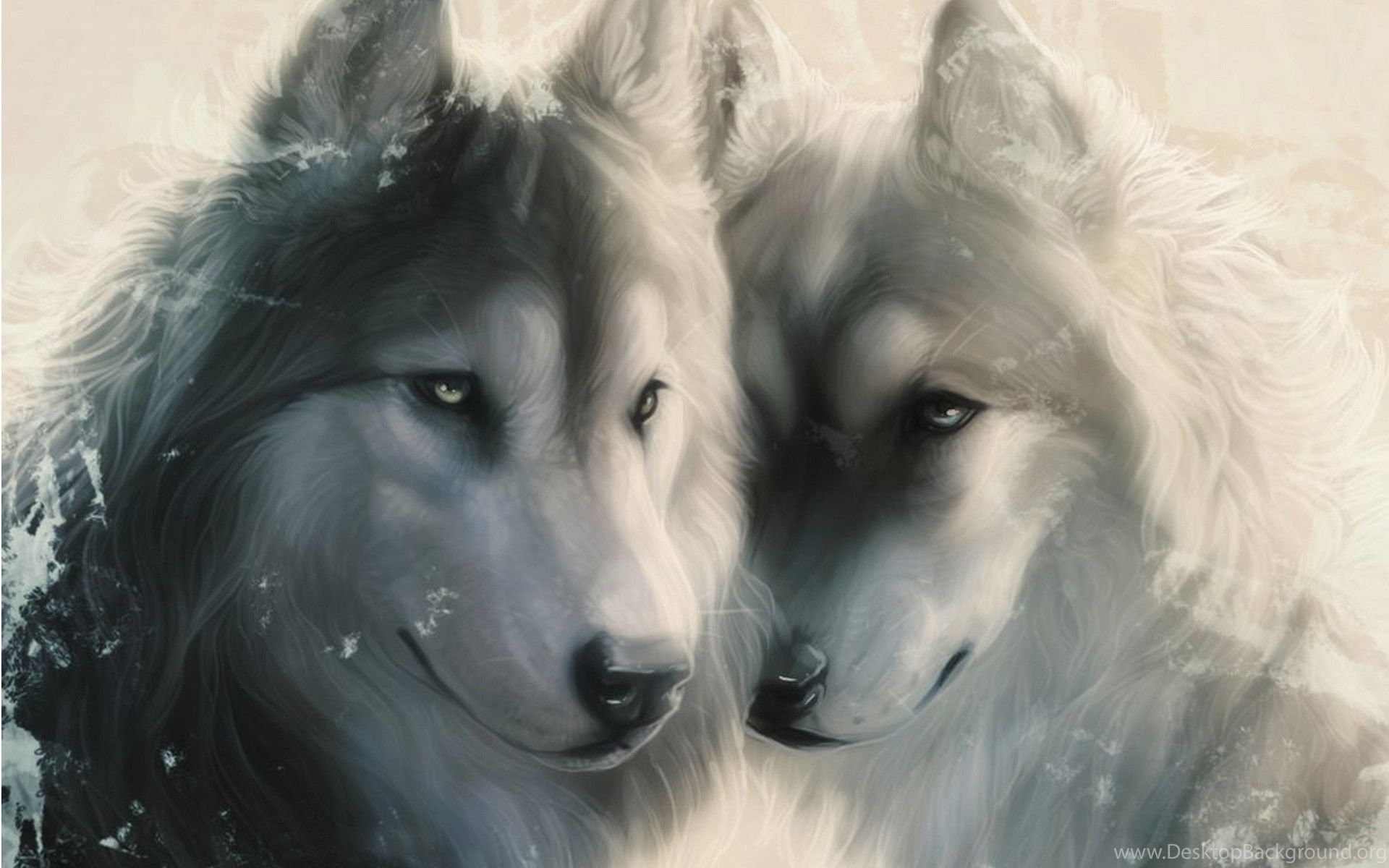 Beautiful Wolf Love Wallpaper