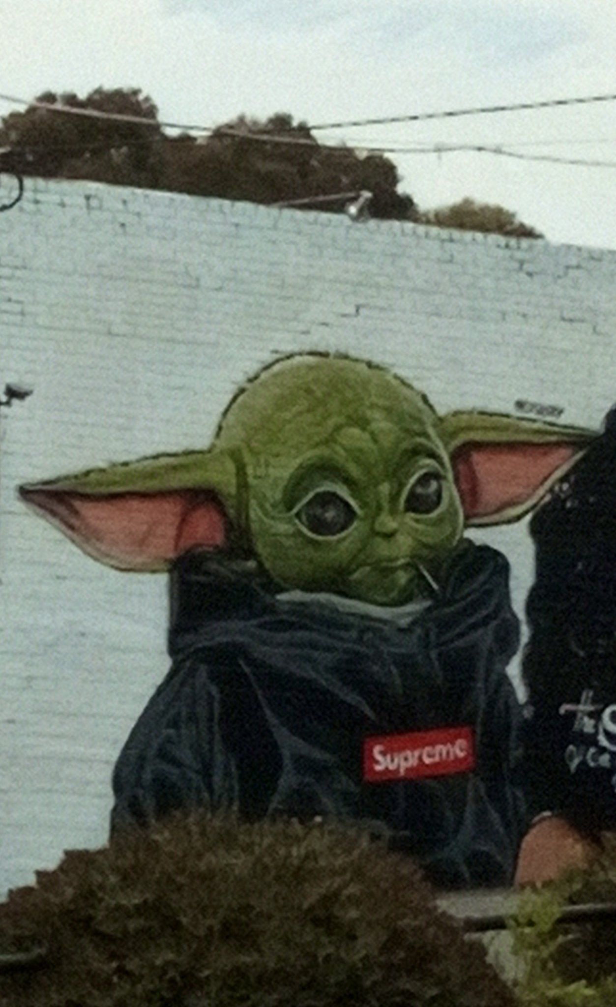 The best Baby Yoda memes :) Memedroid