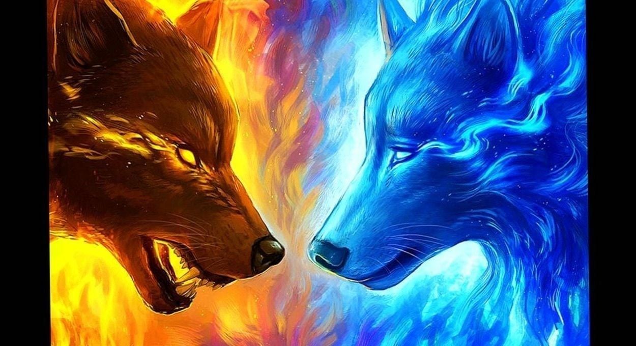 Wallpaper Wolves Fire