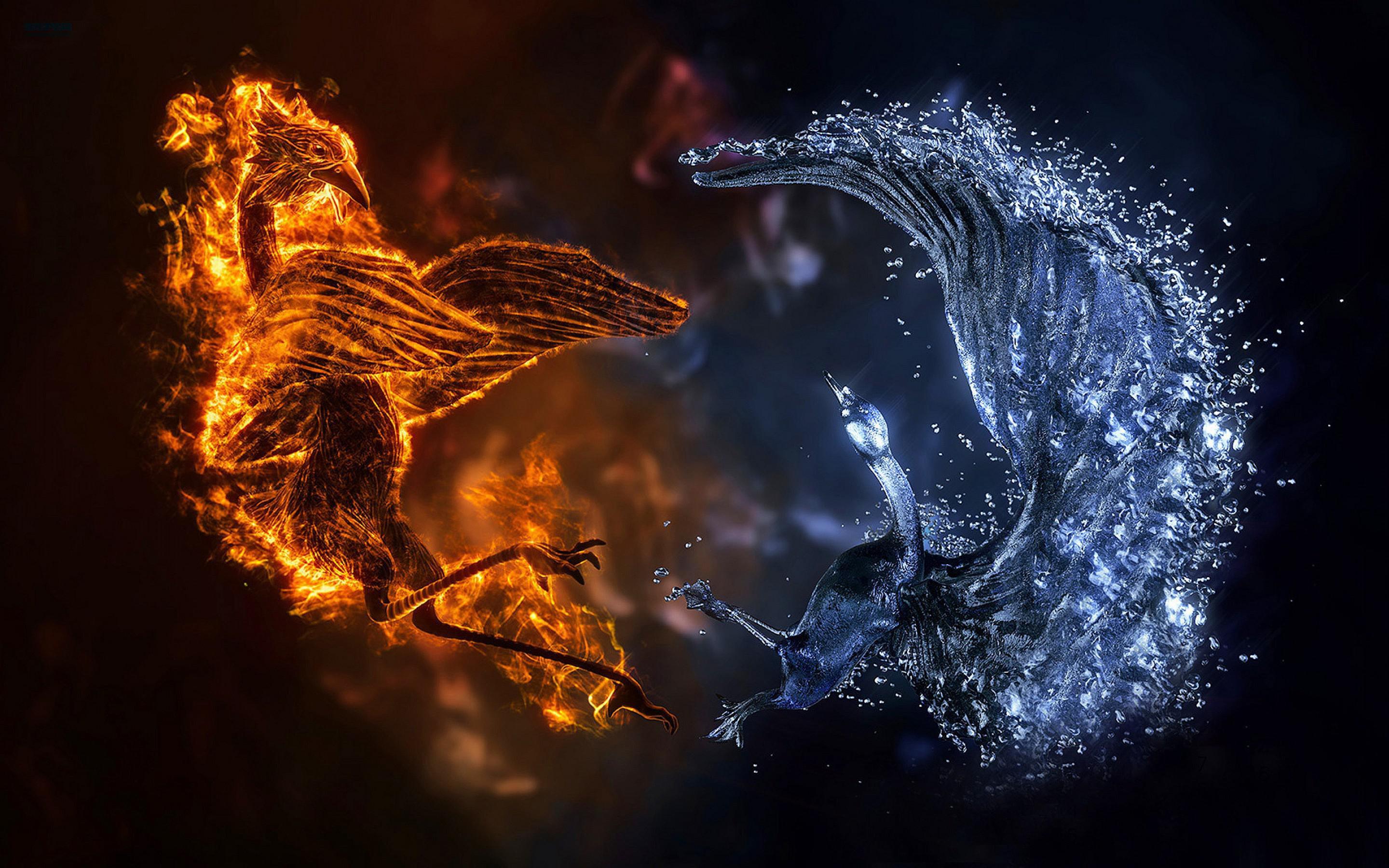 HD Fire and Ice Birds Wallpaper