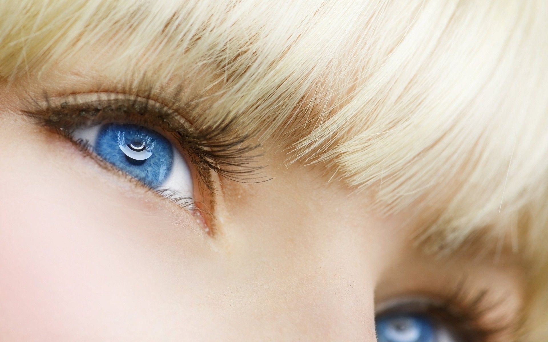 Eyes Wallpaper
