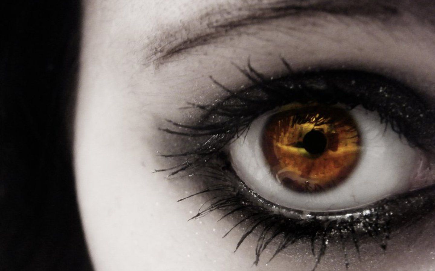 Beautiful girl eye closeup photography HD image 1440x900 free
