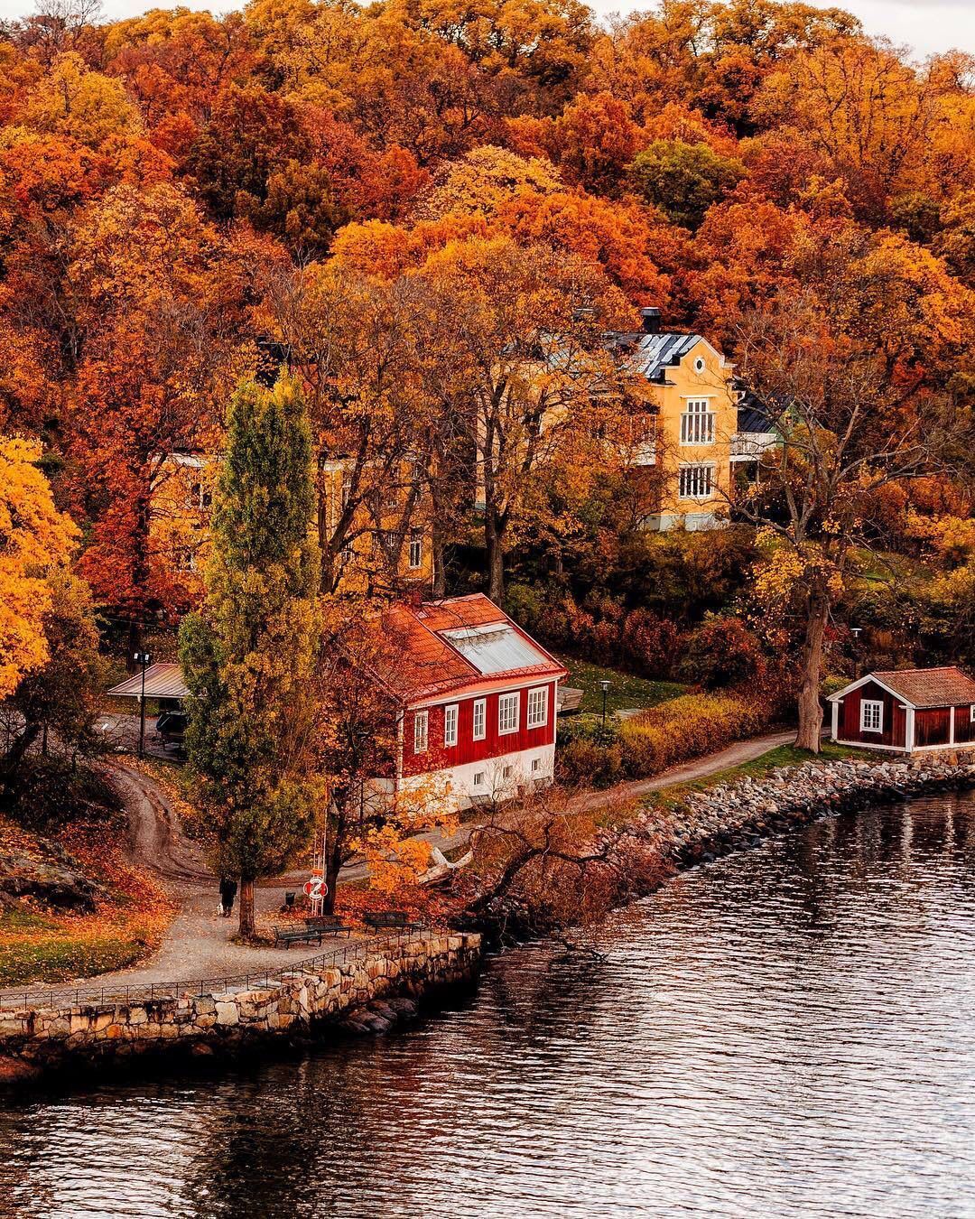 autumn, fall, nature, europe, travel, sweden, stockholm, houses