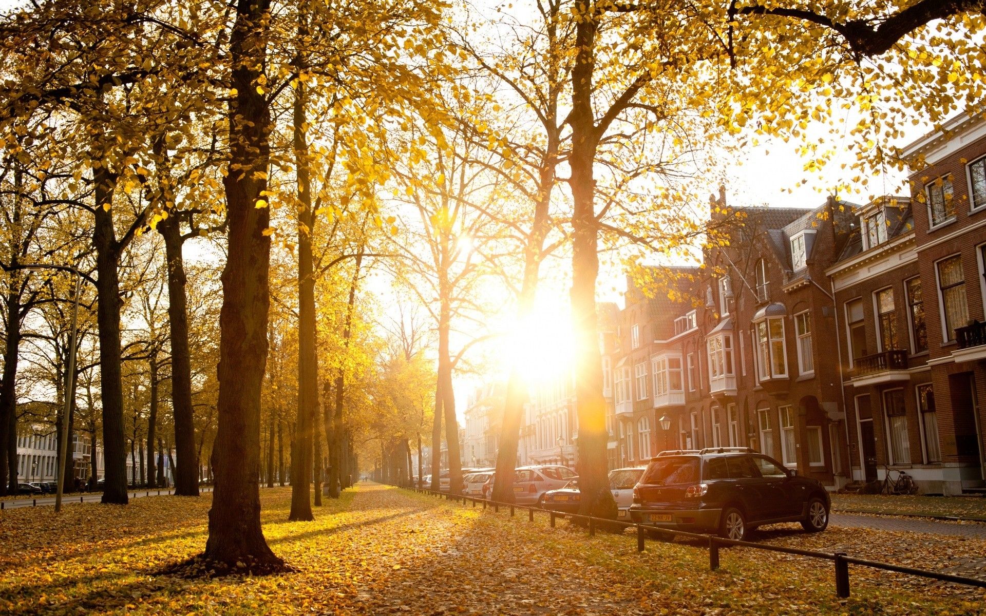 Sunny Autumn Afternoon In Utrecht