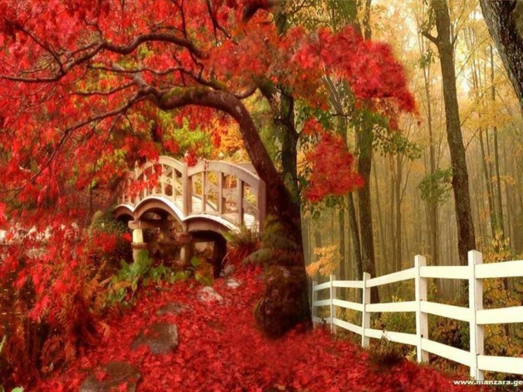 fall screensavers and wallpaper.. Autumn Wallpaper