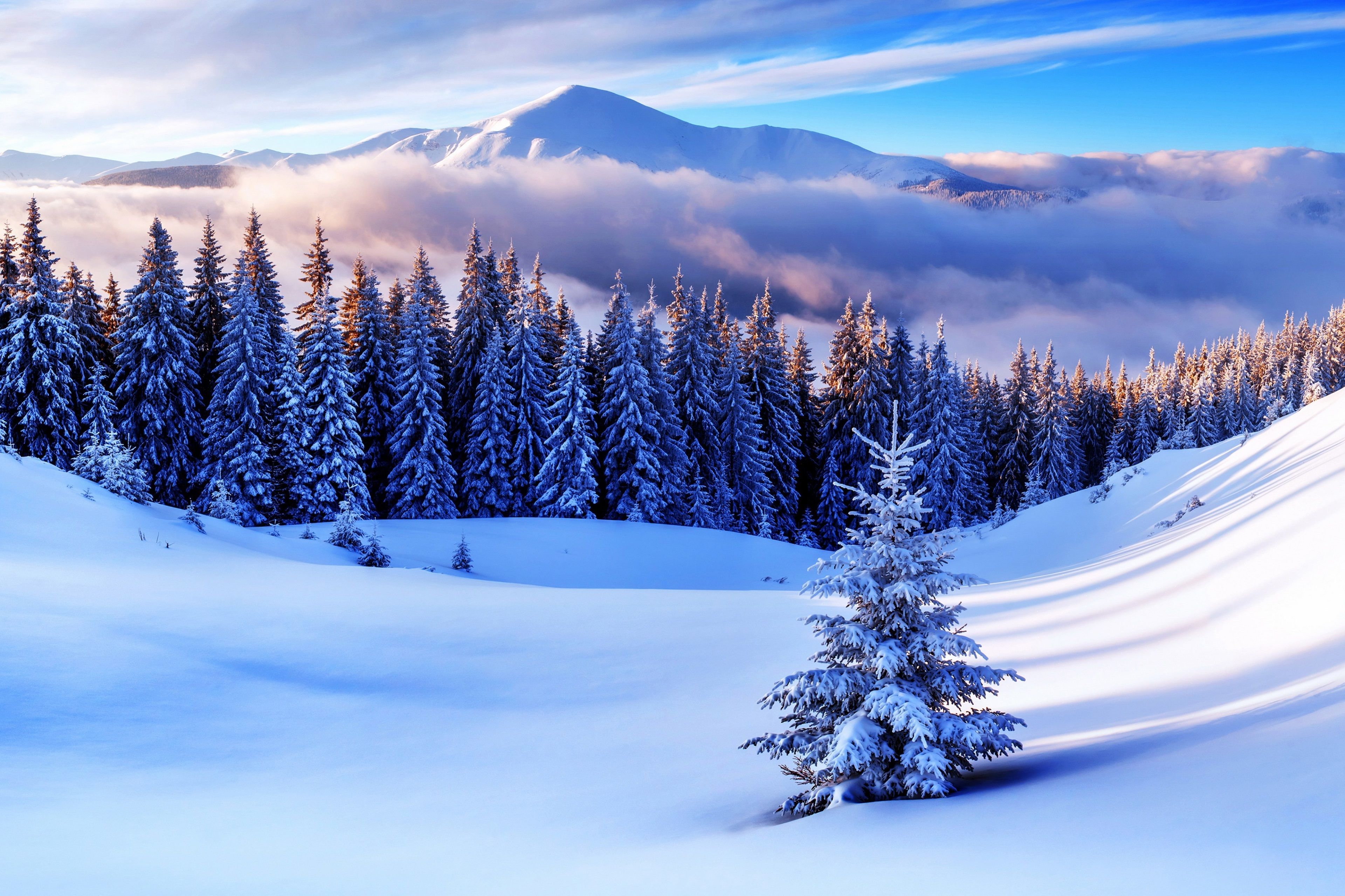 Winter Mountain Trees Wallpapers - Wallpaper Cave
